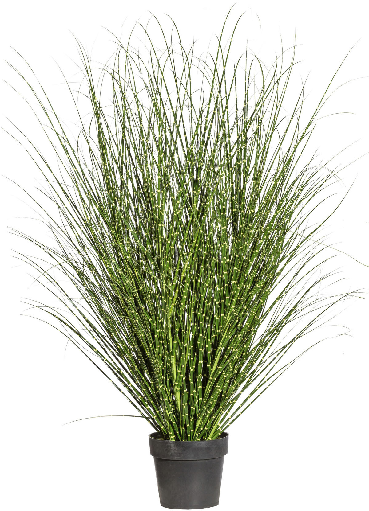 Creativ green Kunstgras »Miscanthus Zebrinus« von Creativ green