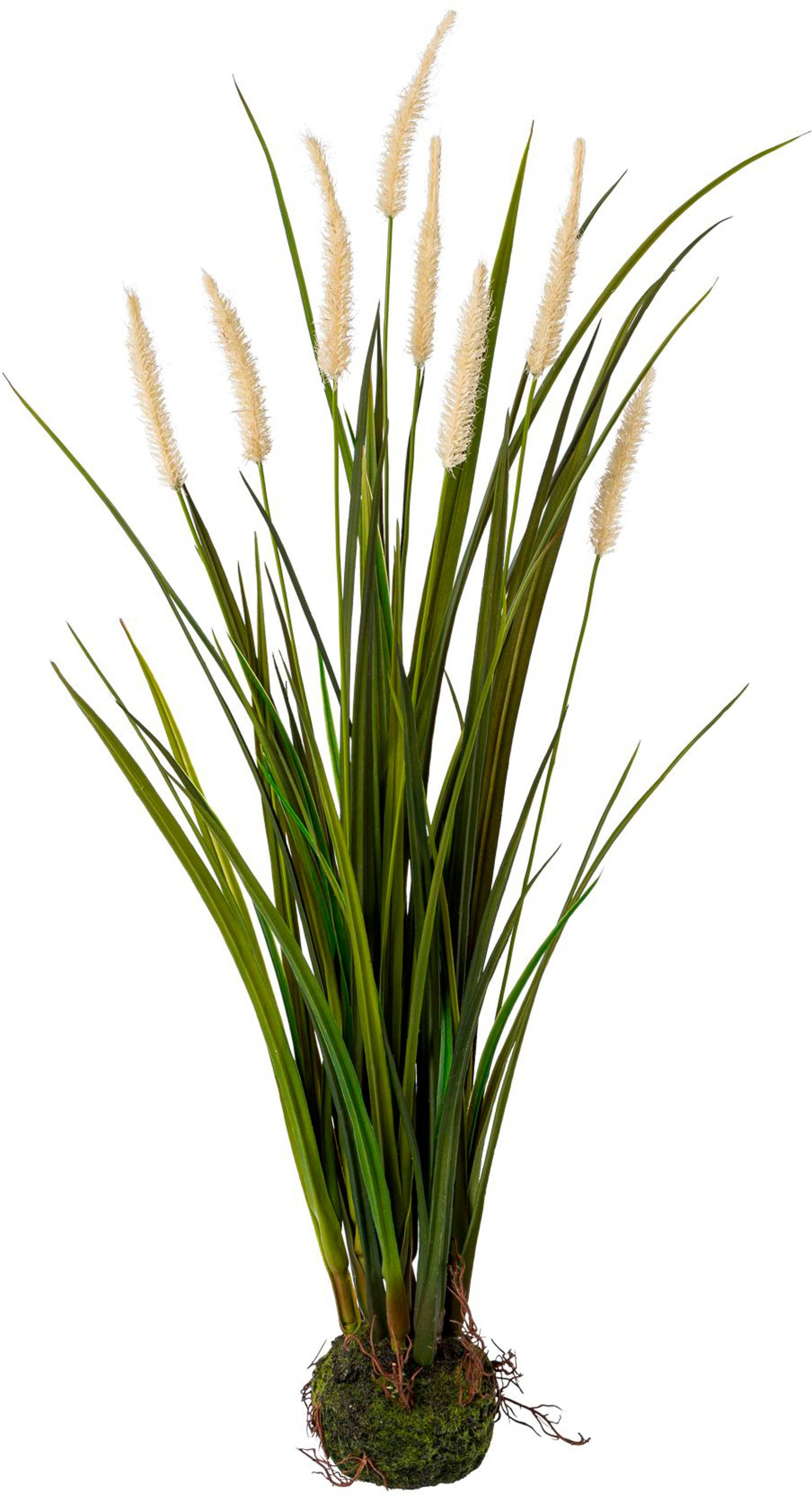 Creativ green Kunstgras »Miscanthus im Erdballen« von Creativ green