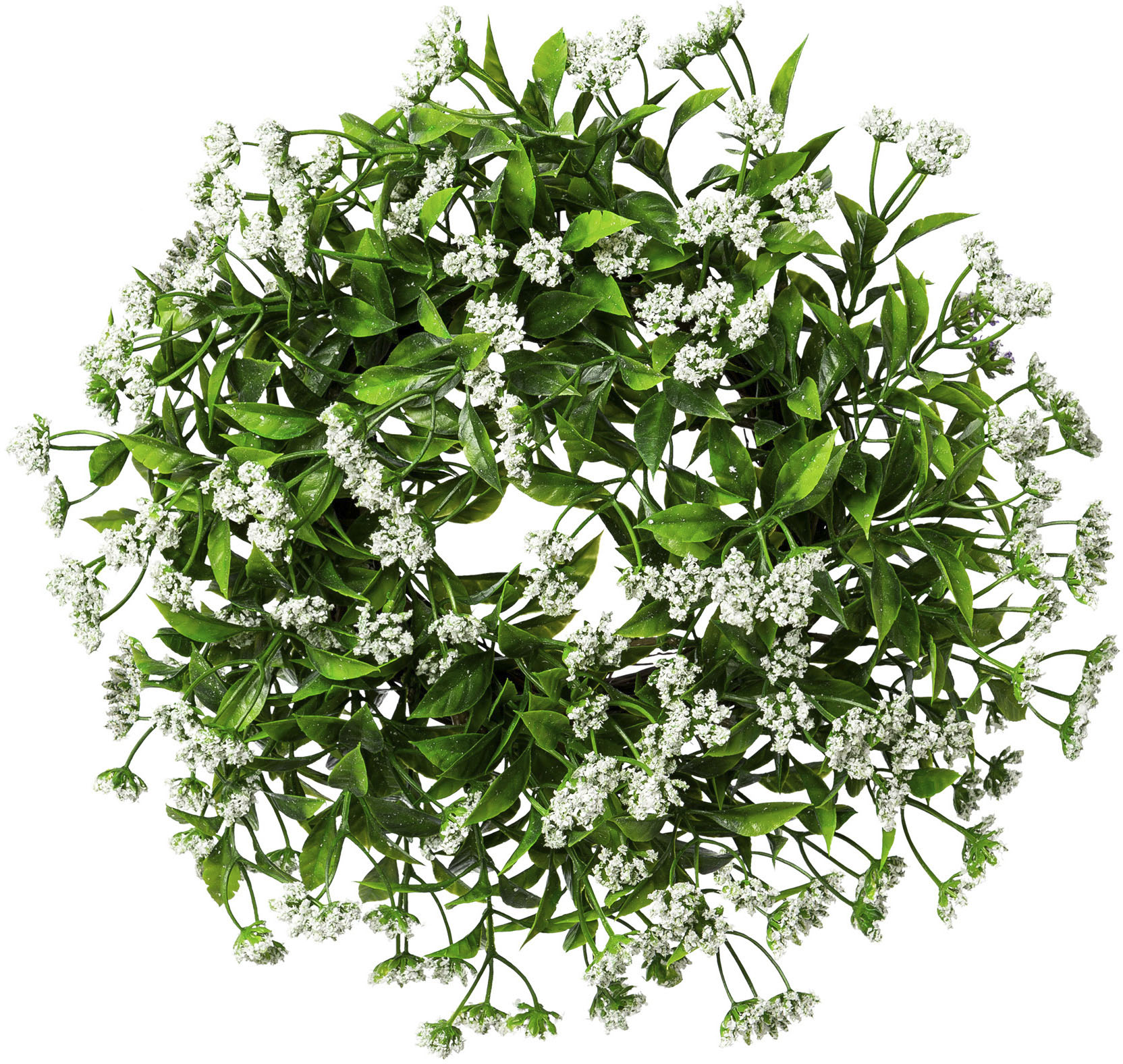 Creativ green Kunstkranz »Ruscus-Kranz« von Creativ green