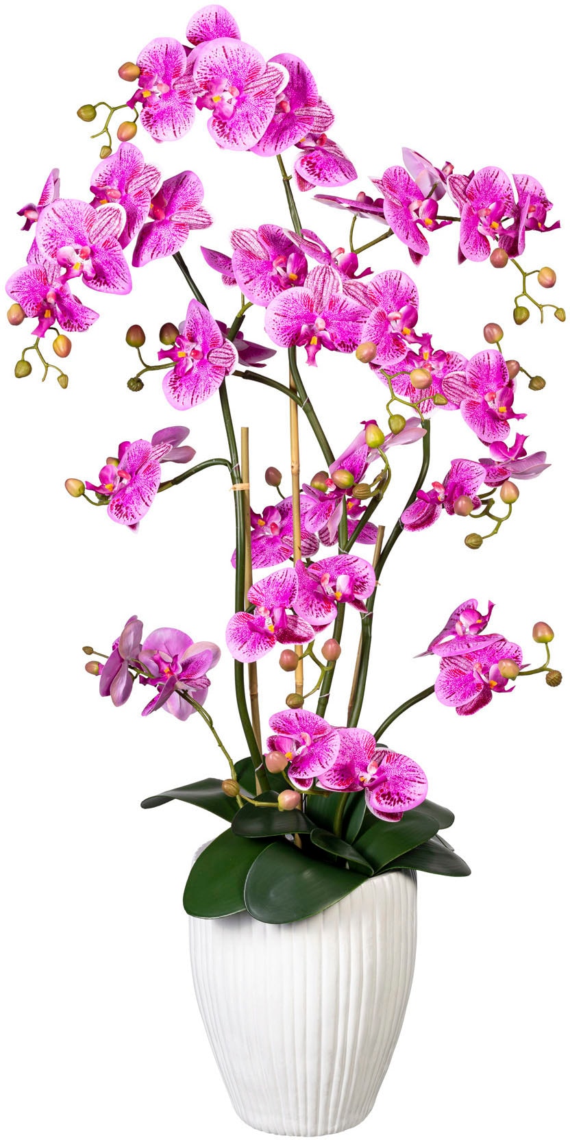 Creativ green Kunstorchidee »Deko-Orchidee Phalaenopsis XL im Keramiktopf« von Creativ green