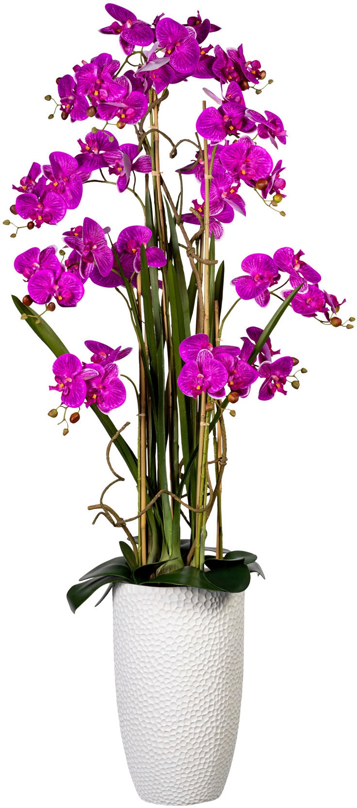 Creativ green Kunstorchidee »Deko-Orchidee Phalaenopsis XXL im Keramiktopf« von Creativ green