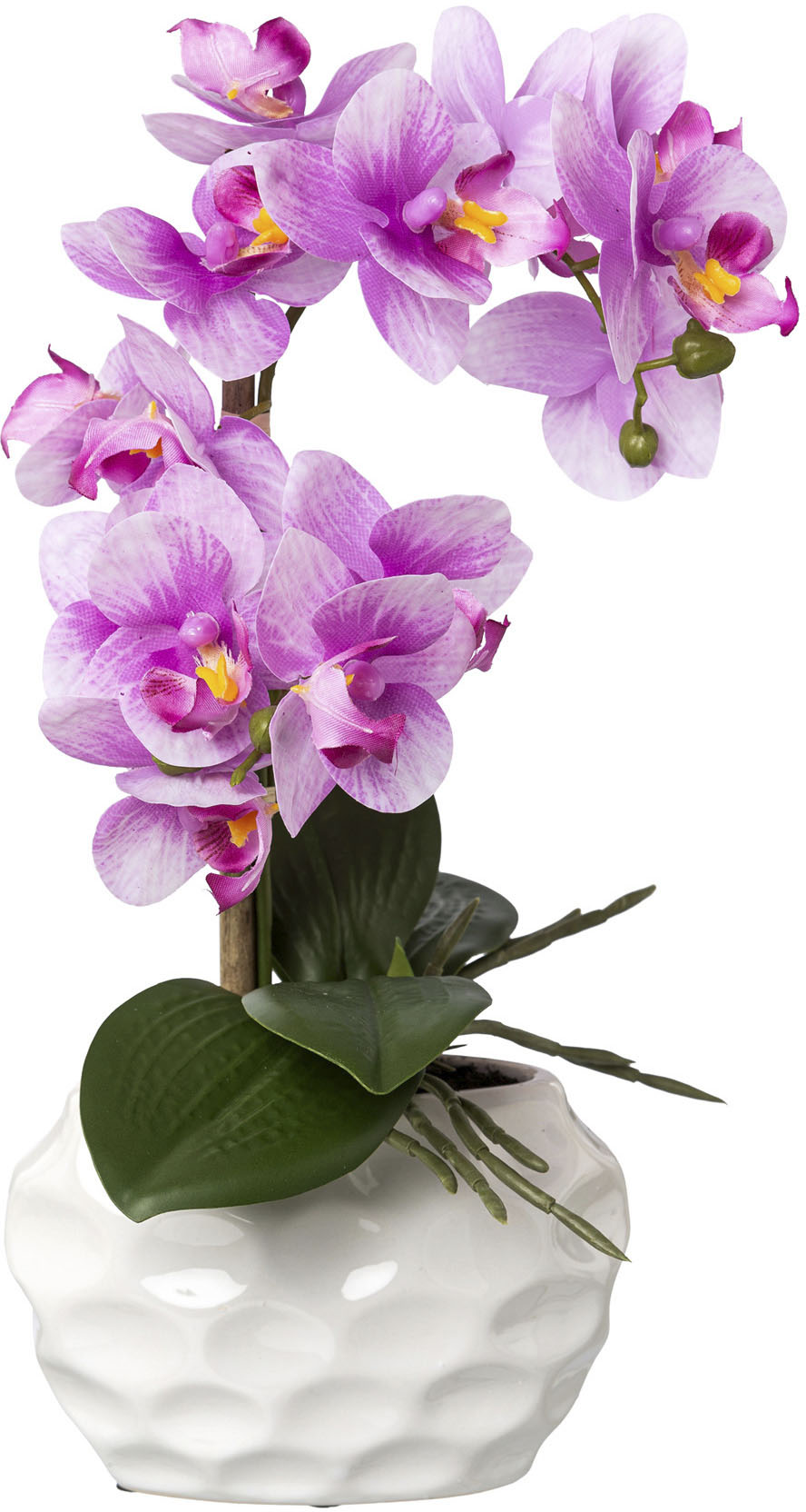 Creativ green Kunstorchidee »Deko-Orchidee Phalaenopsis im Keramiktopf« von Creativ green