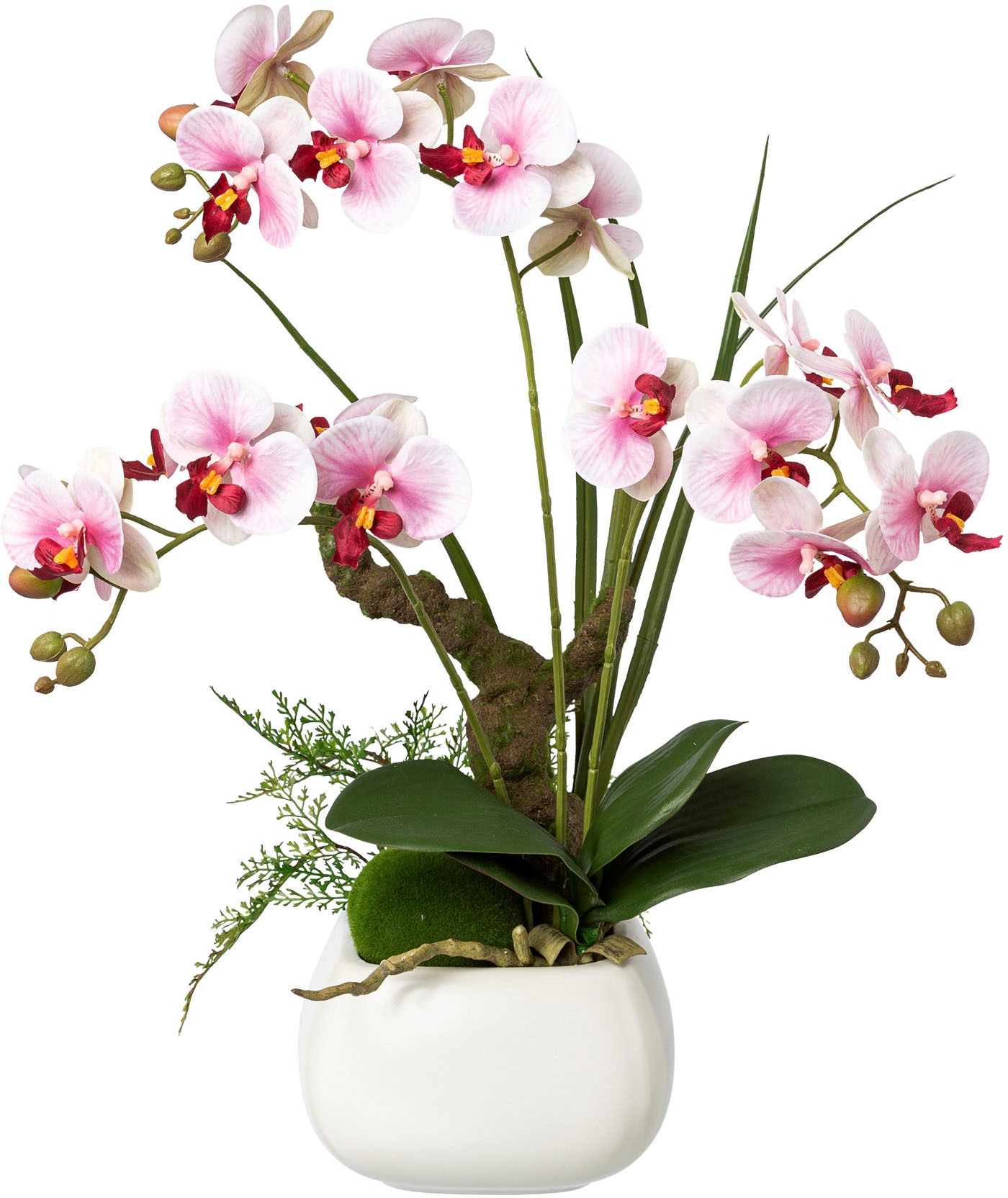 Creativ green Kunstorchidee »Deko-Orchidee Phalaenopsis im Keramiktopf« von Creativ green