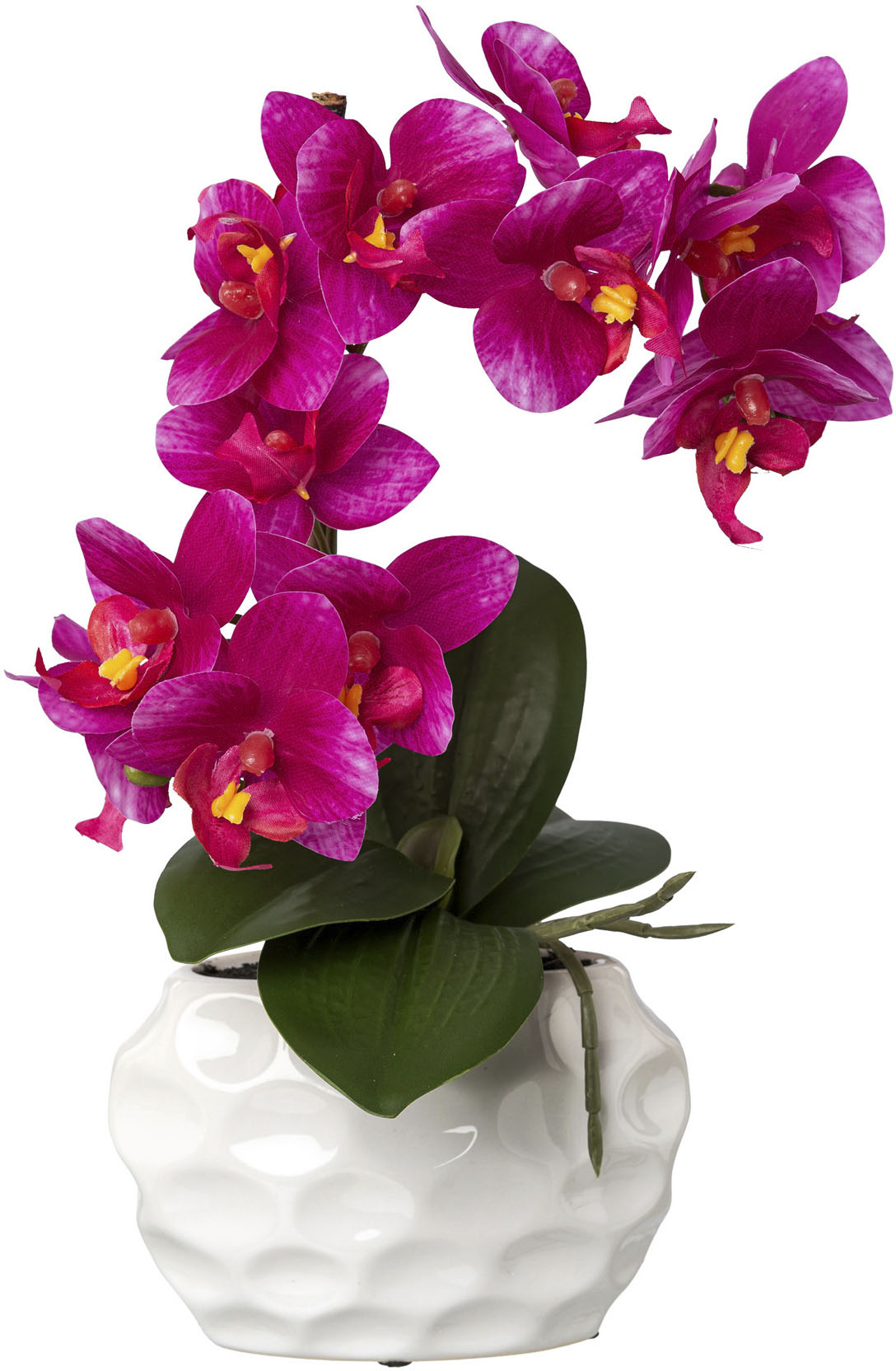 Creativ green Kunstorchidee »Deko-Orchidee Phalaenopsis im Keramiktopf« von Creativ green