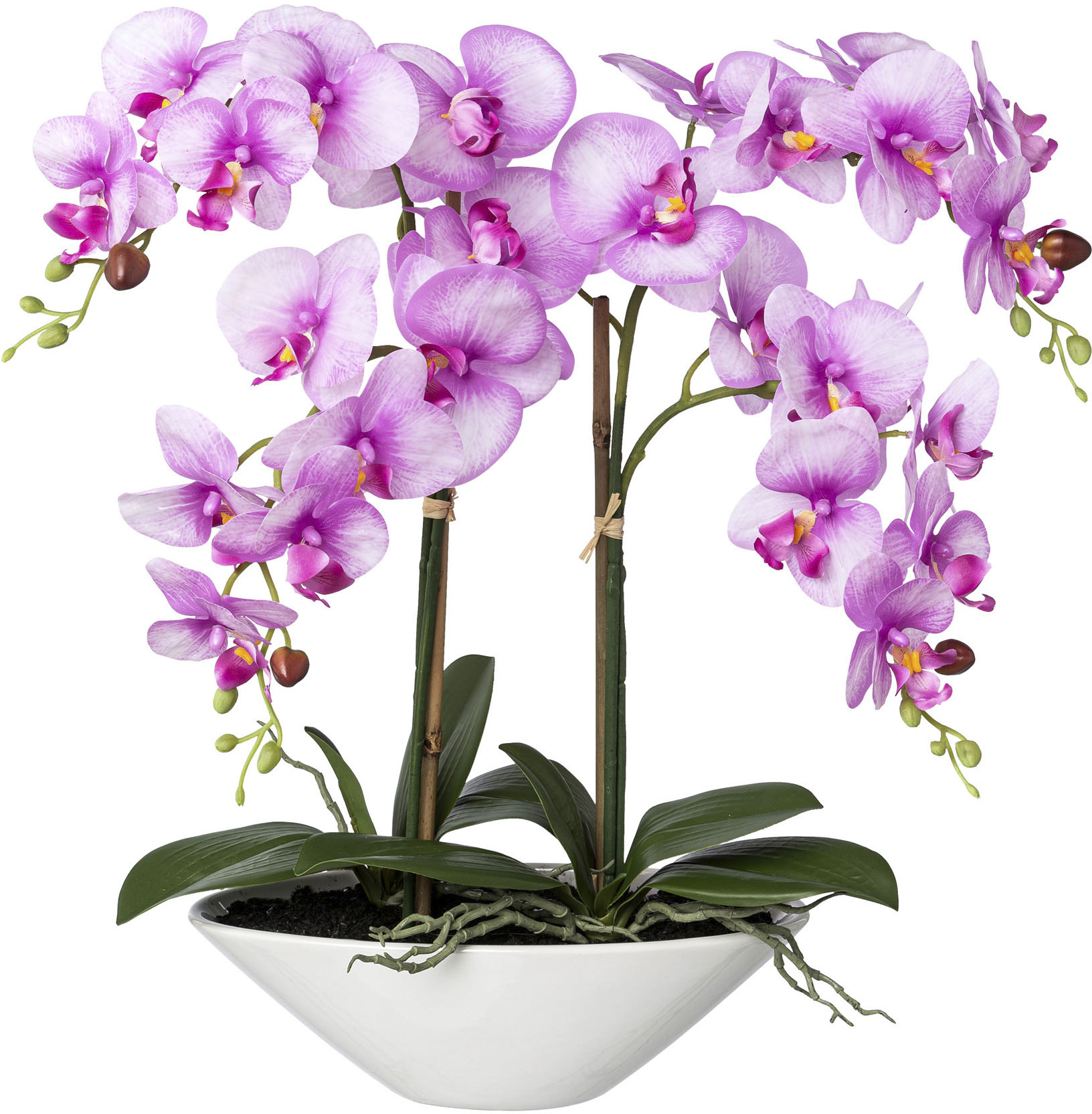 Creativ green Kunstorchidee »Deko-Orchidee Phalaenopsis in Keramikschale« von Creativ green