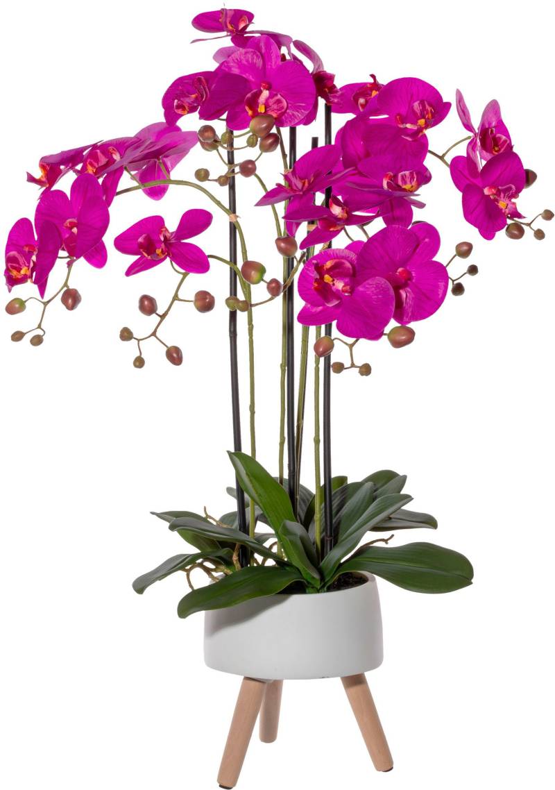 Creativ green Kunstorchidee »Orchidee Phalaenopsis in Keramikschale« von Creativ green