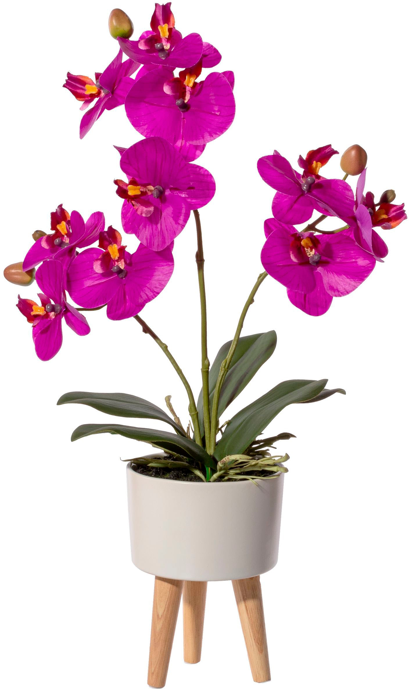 Creativ green Kunstorchidee »Orchidee Phalaenopsis in Keramikschale« von Creativ green