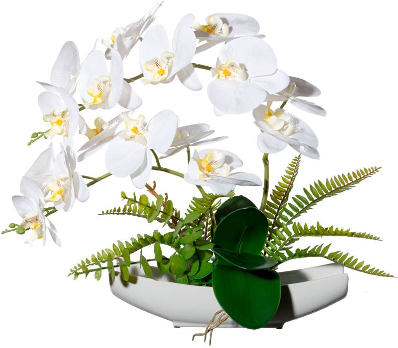 Creativ green Kunstorchidee »Orchidee Phalaenopsis in Keramikschale«, mit Real-Touch-Blüten von Creativ green