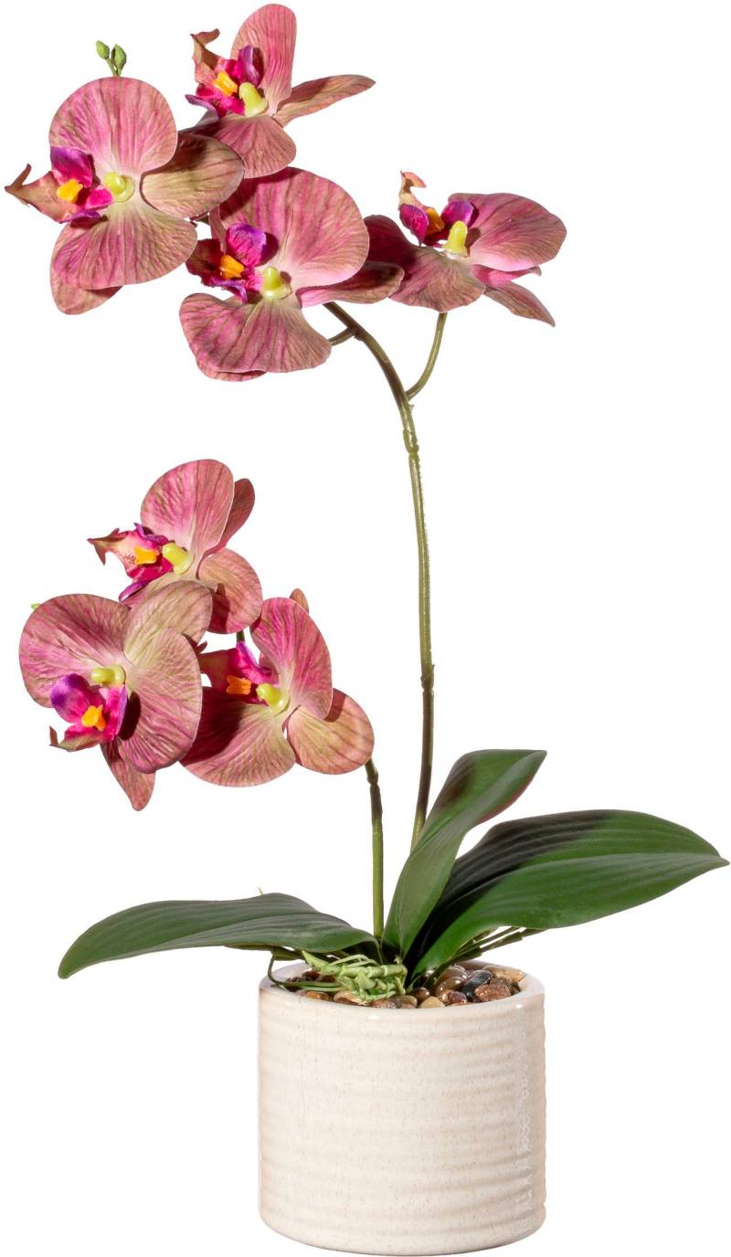 Creativ green Kunstorchidee »Orchidee Phalaenopsis in Keramiktopf«, mit Real-Touch-Blüten von Creativ green