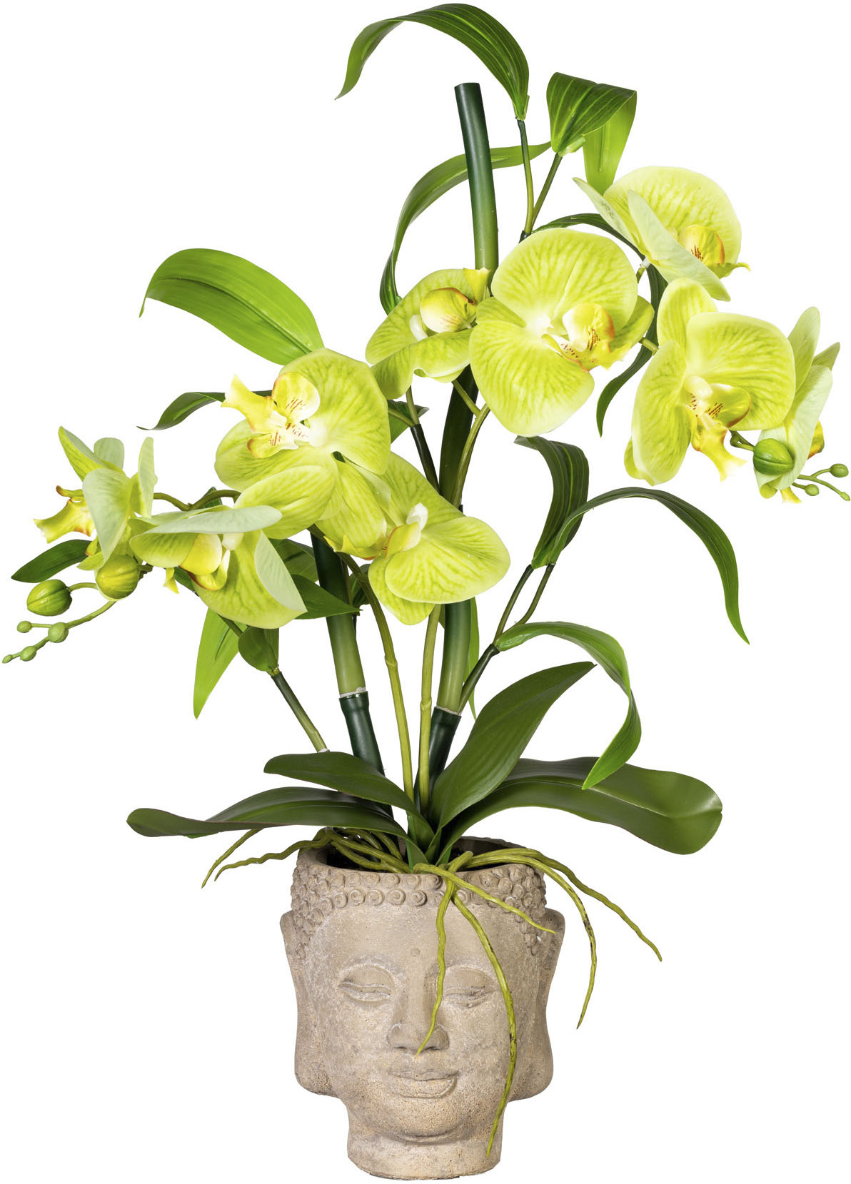 Creativ green Kunstorchidee »Orchideen-Bambus-Arrangement im Buddhakopf« von Creativ green