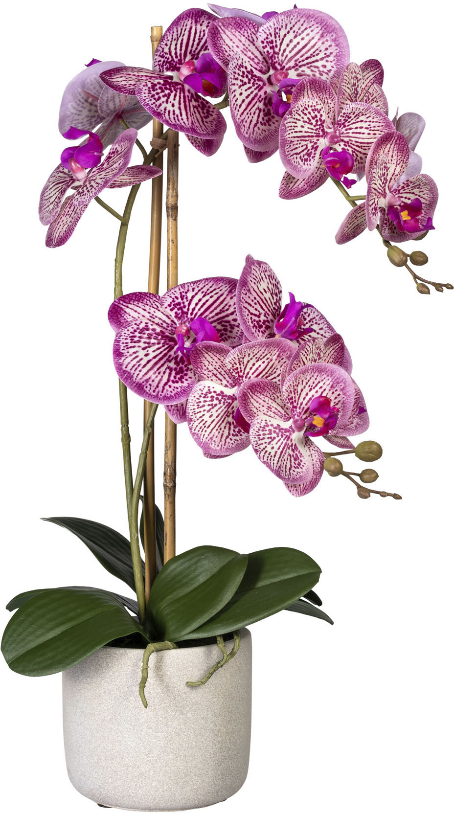 Creativ green Kunstorchidee »Phalaenopsis« von Creativ green