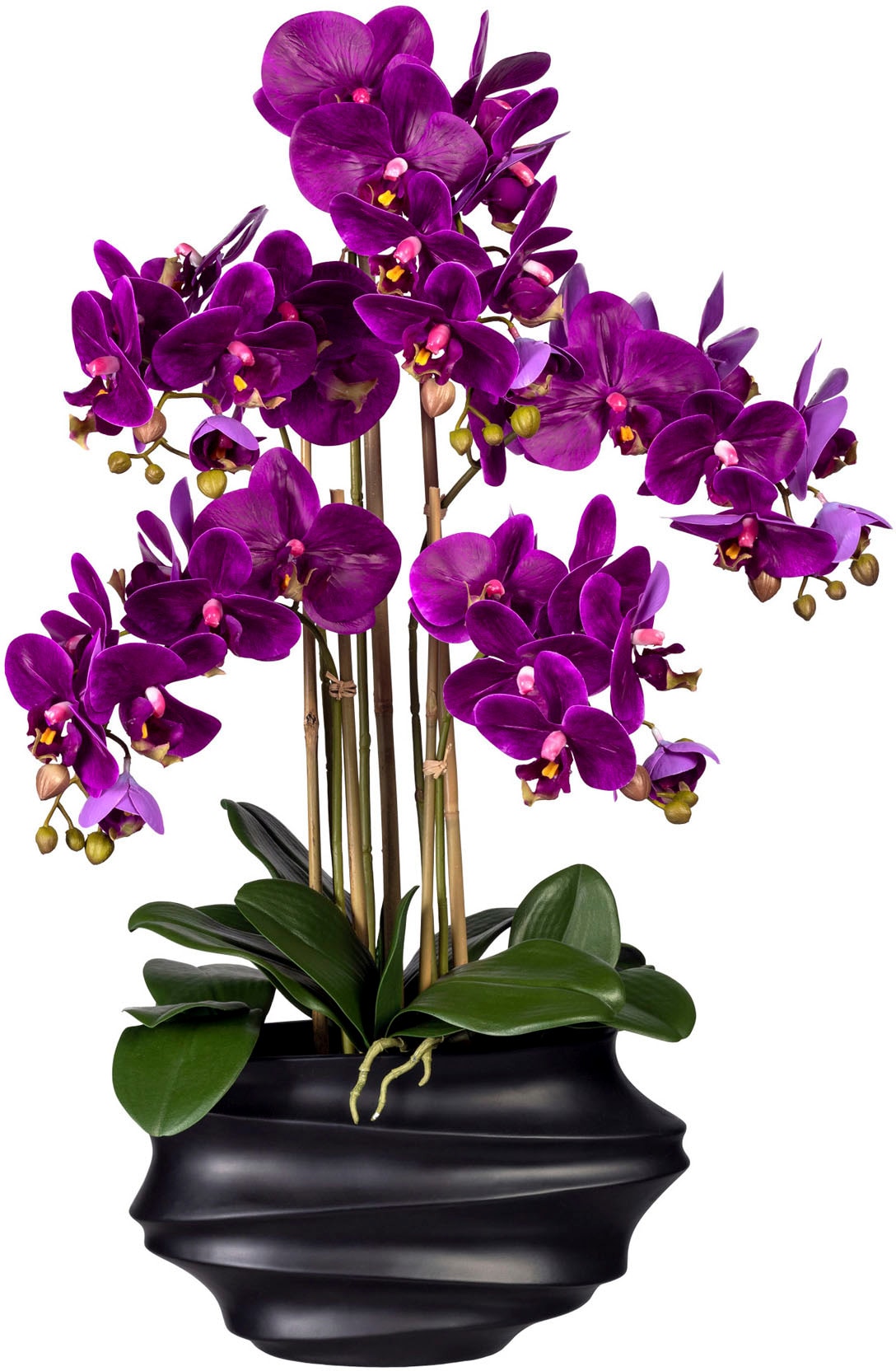 Creativ green Kunstorchidee »Phalaenopsis« von Creativ green