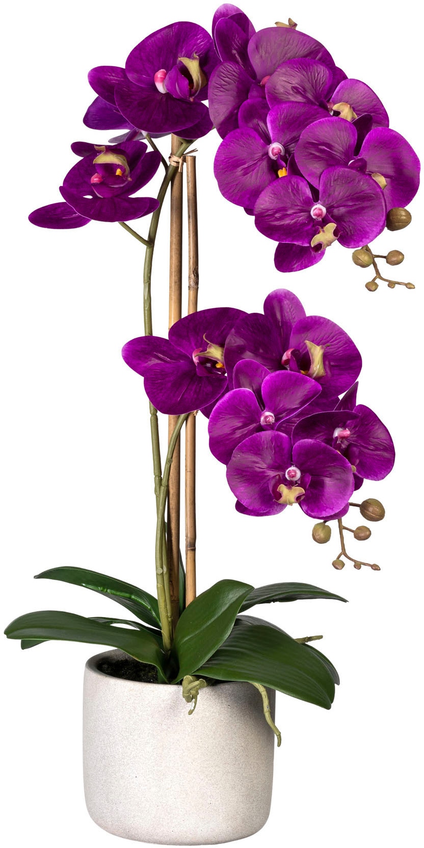 Creativ green Kunstorchidee »Phalaenopsis« von Creativ green