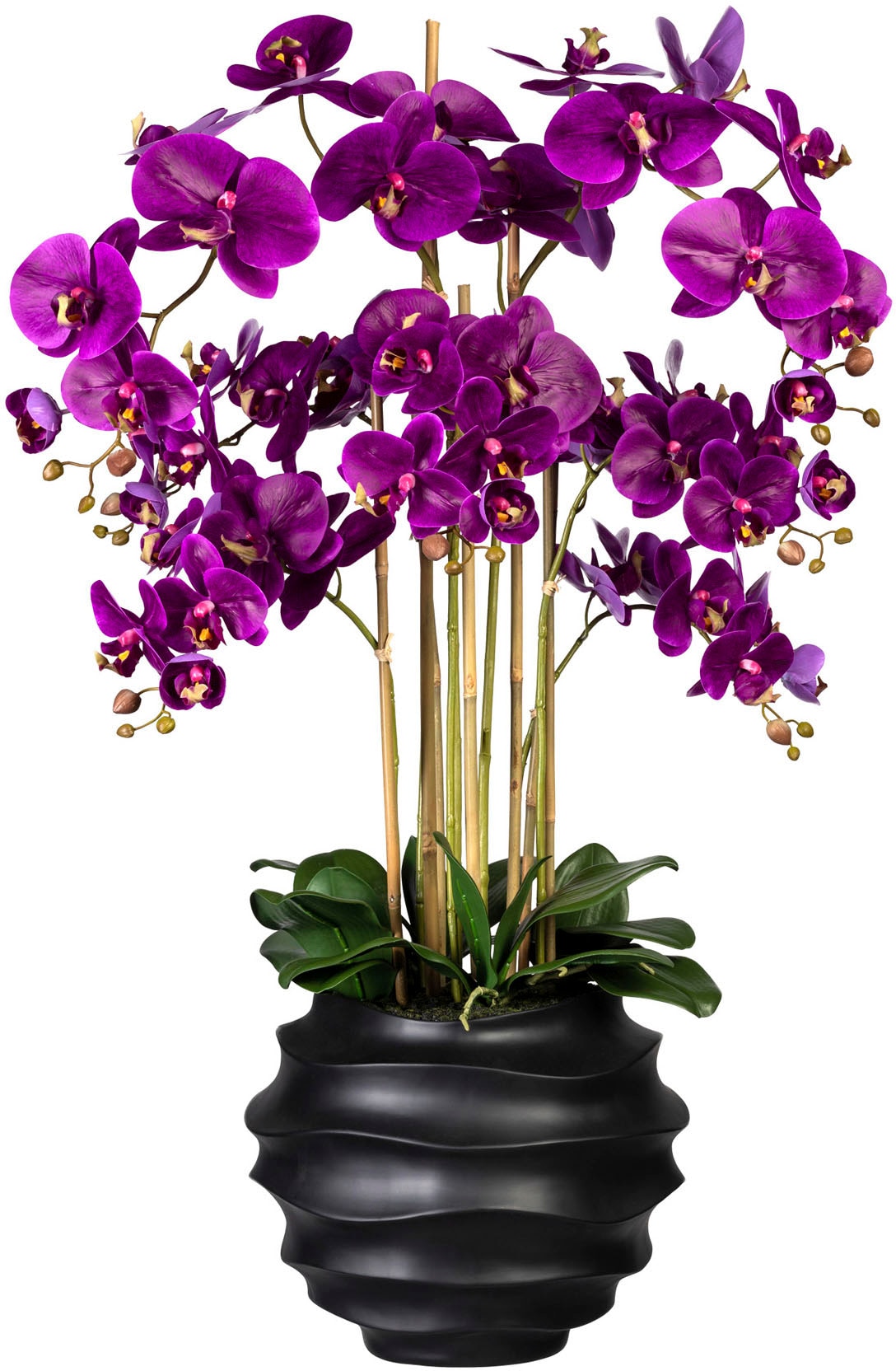 Creativ green Kunstorchidee »Phalaenopsis« von Creativ green