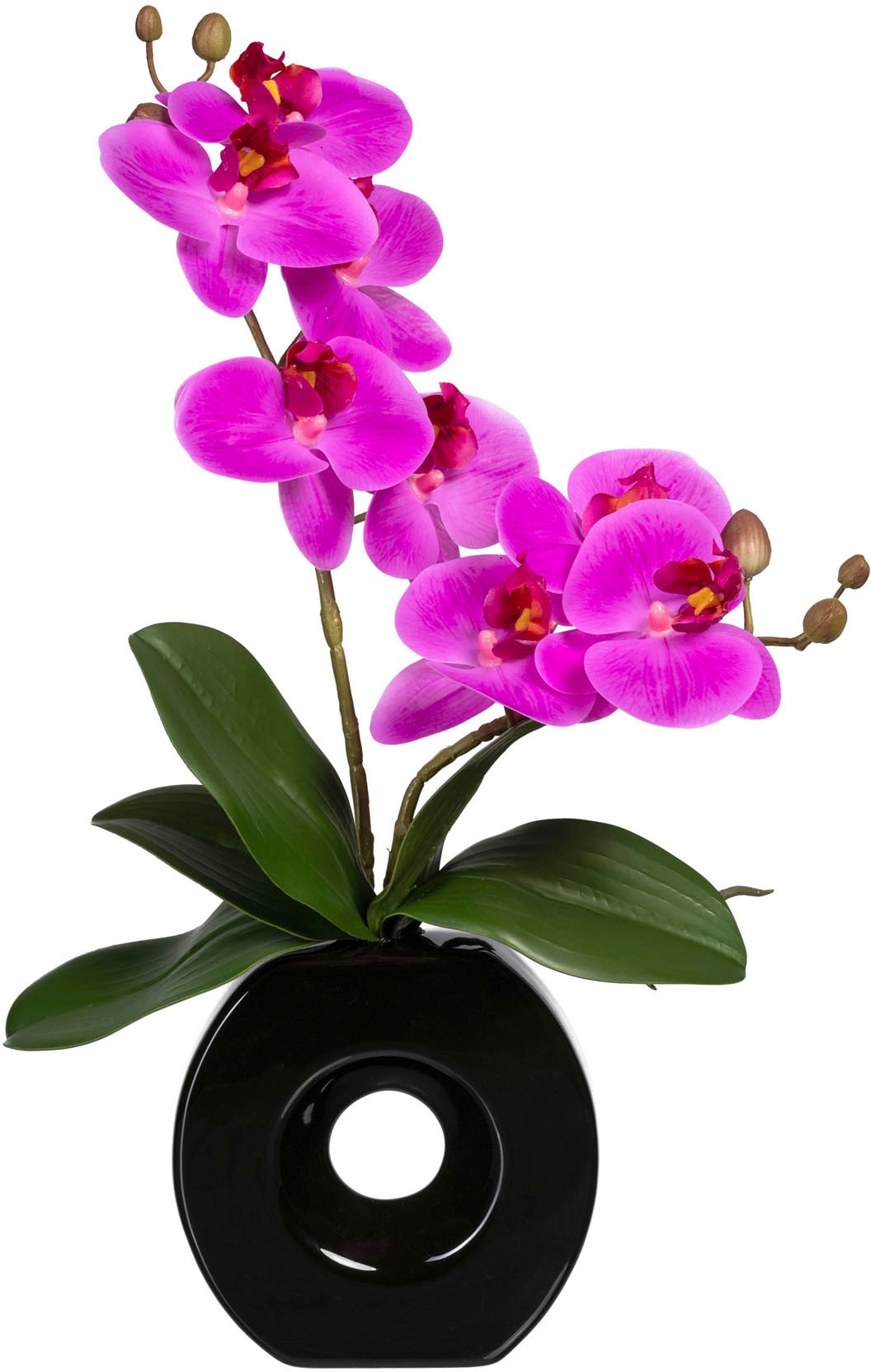 Creativ green Kunstorchidee »Phalaenopsis« von Creativ green