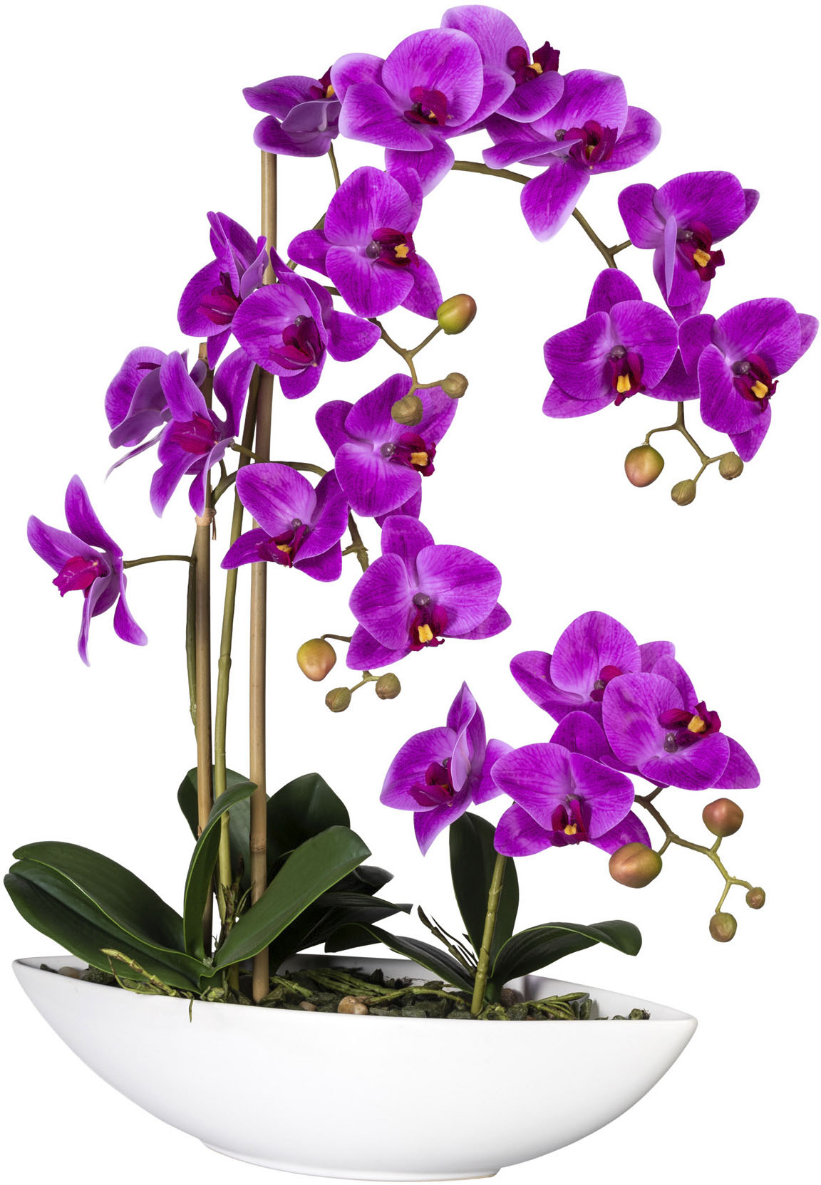 Creativ green Kunstorchidee »Phalaenopsis« von Creativ green