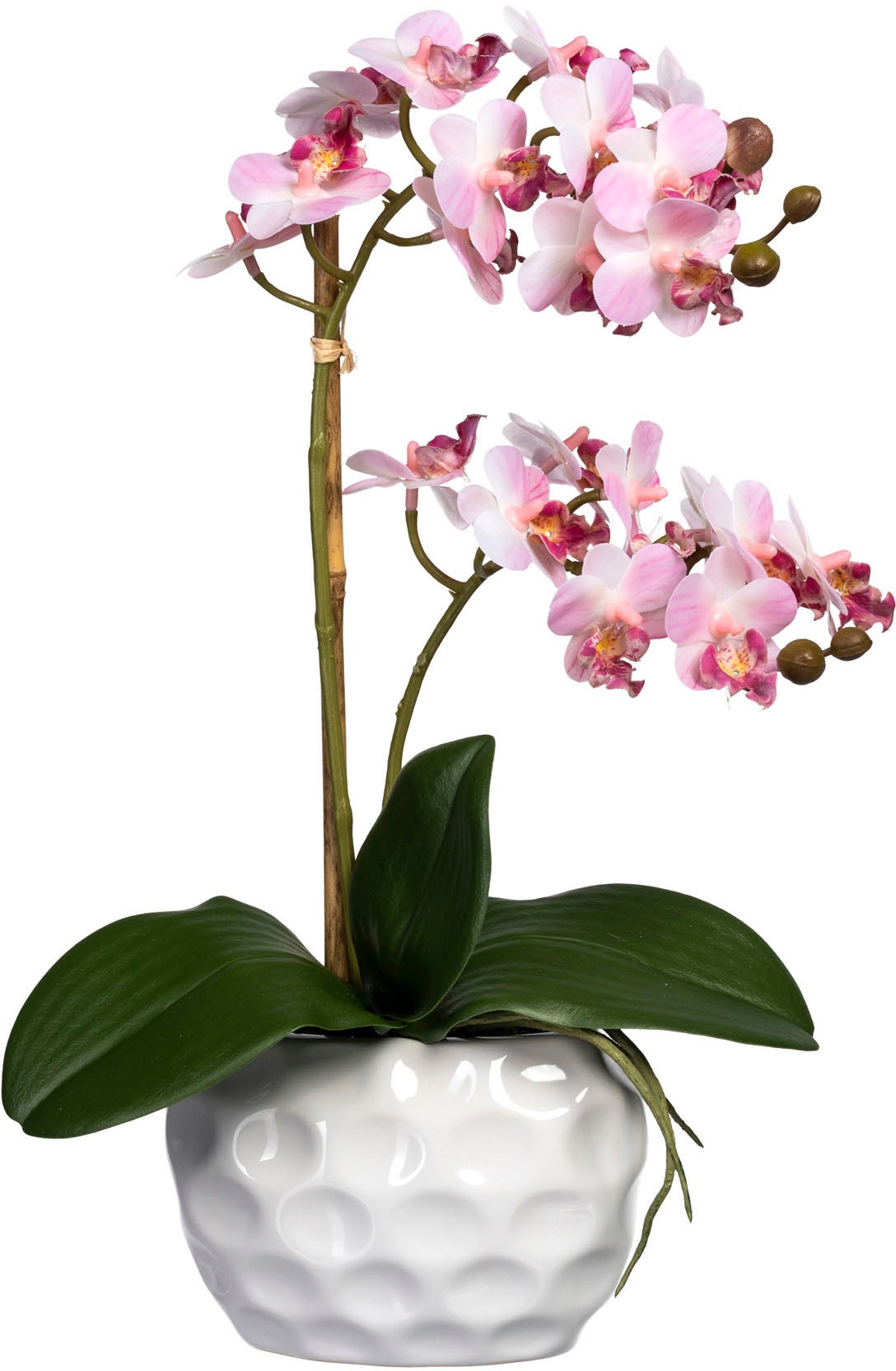 Creativ green Kunstorchidee »Phalaenopsis« von Creativ green