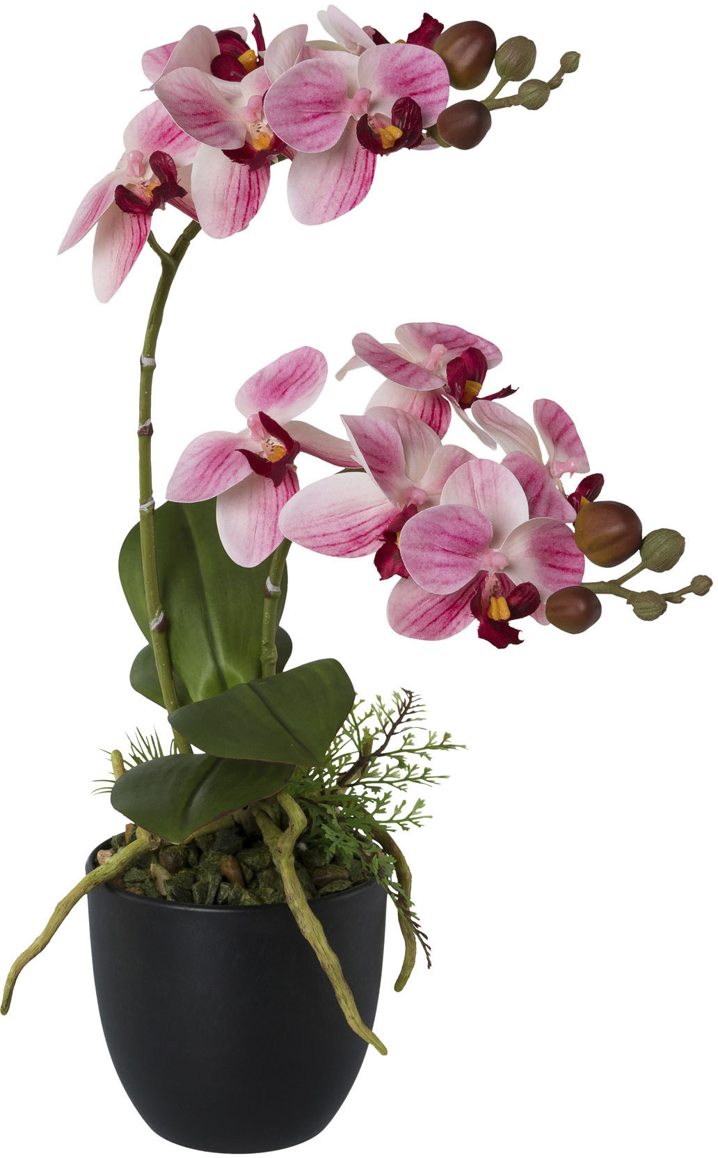 Creativ green Kunstorchidee »Phalaenopsis« von Creativ green