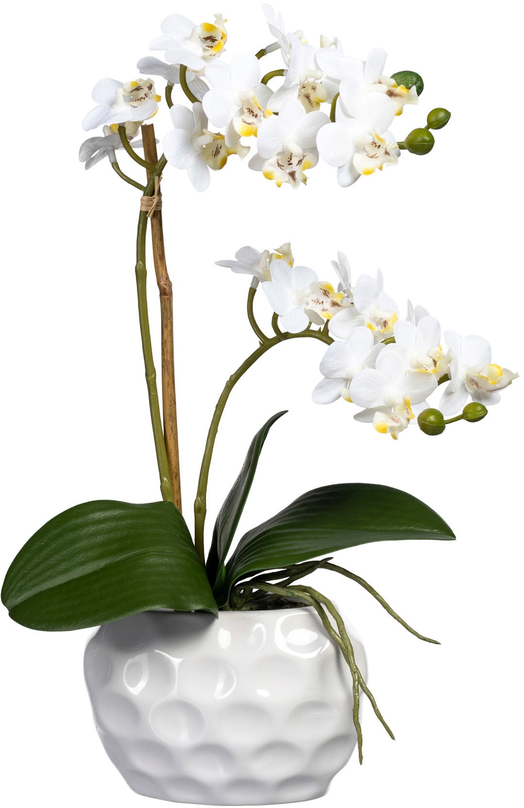 Creativ green Kunstorchidee »Phalaenopsis« von Creativ green