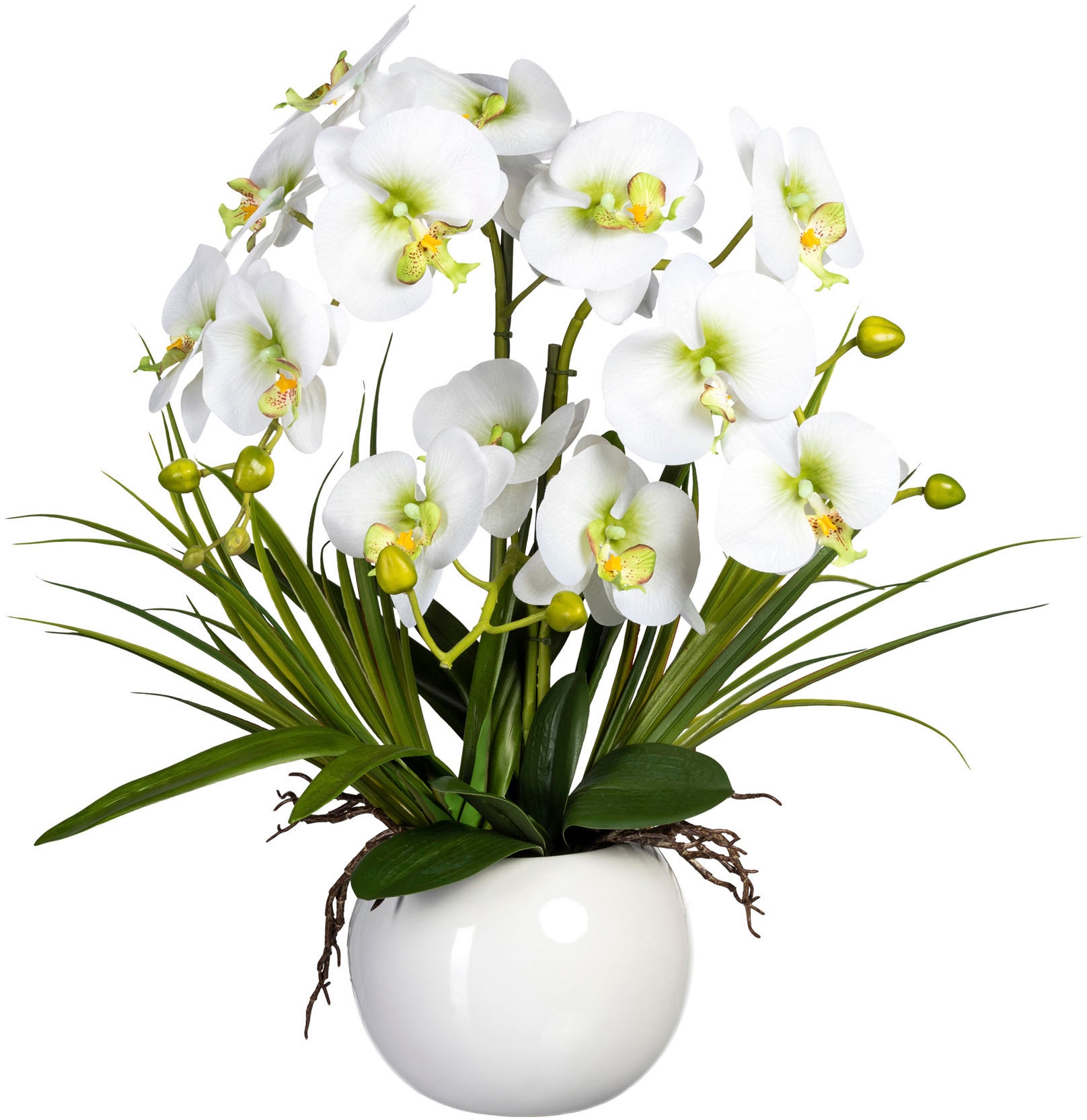 Creativ green Kunstorchidee »Phalaenopsis« von Creativ green