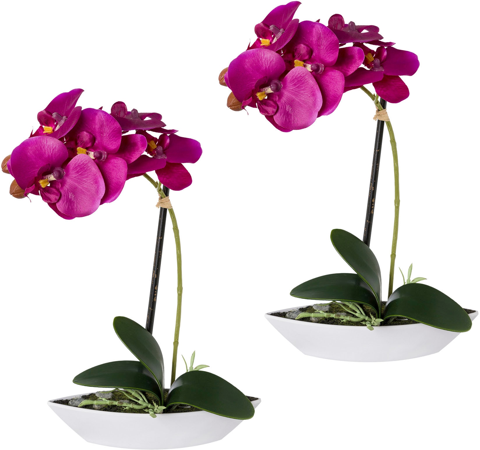 Creativ green Kunstorchidee »Phalaenopsis« von Creativ green