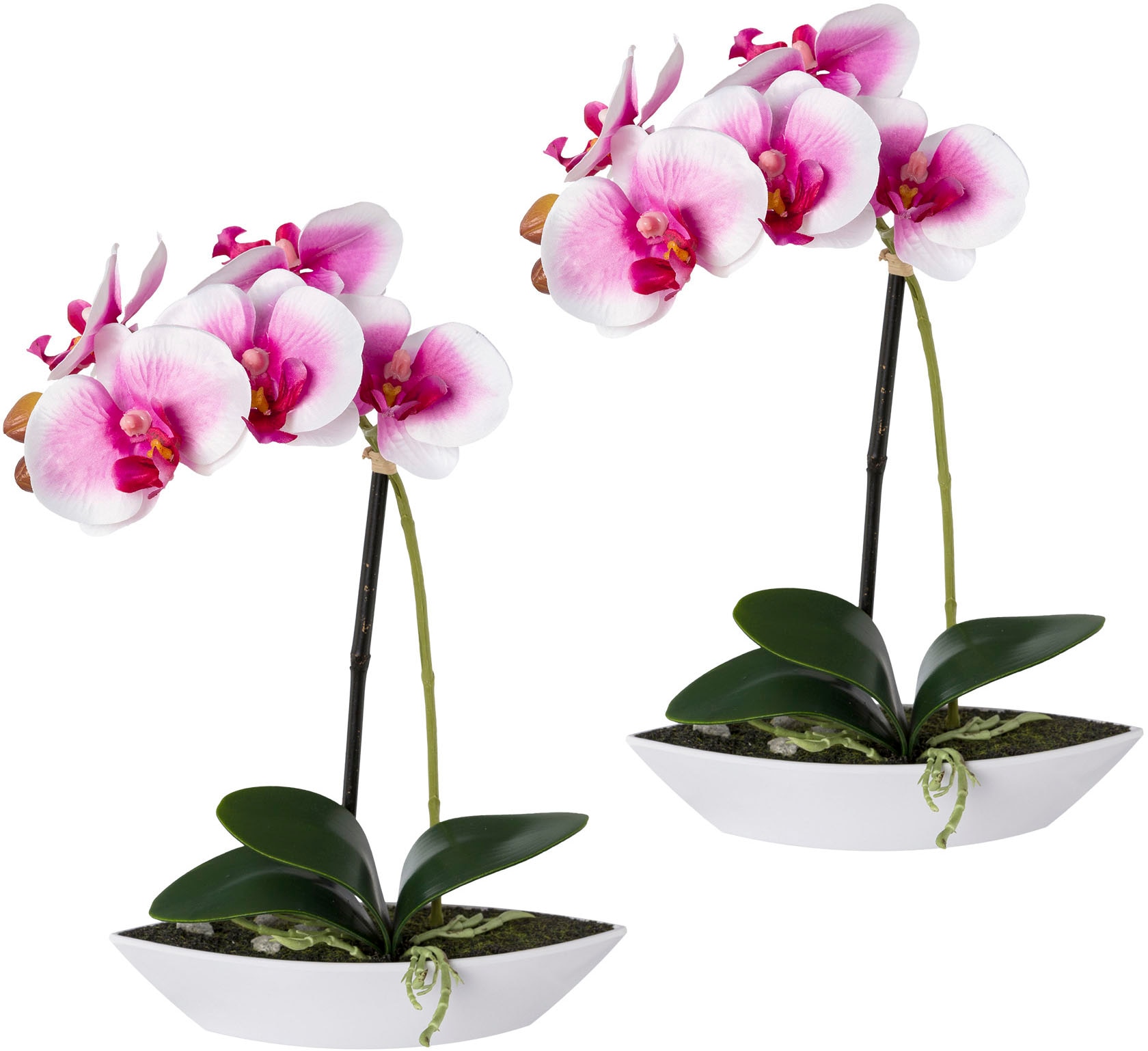 Creativ green Kunstorchidee »Phalaenopsis« von Creativ green