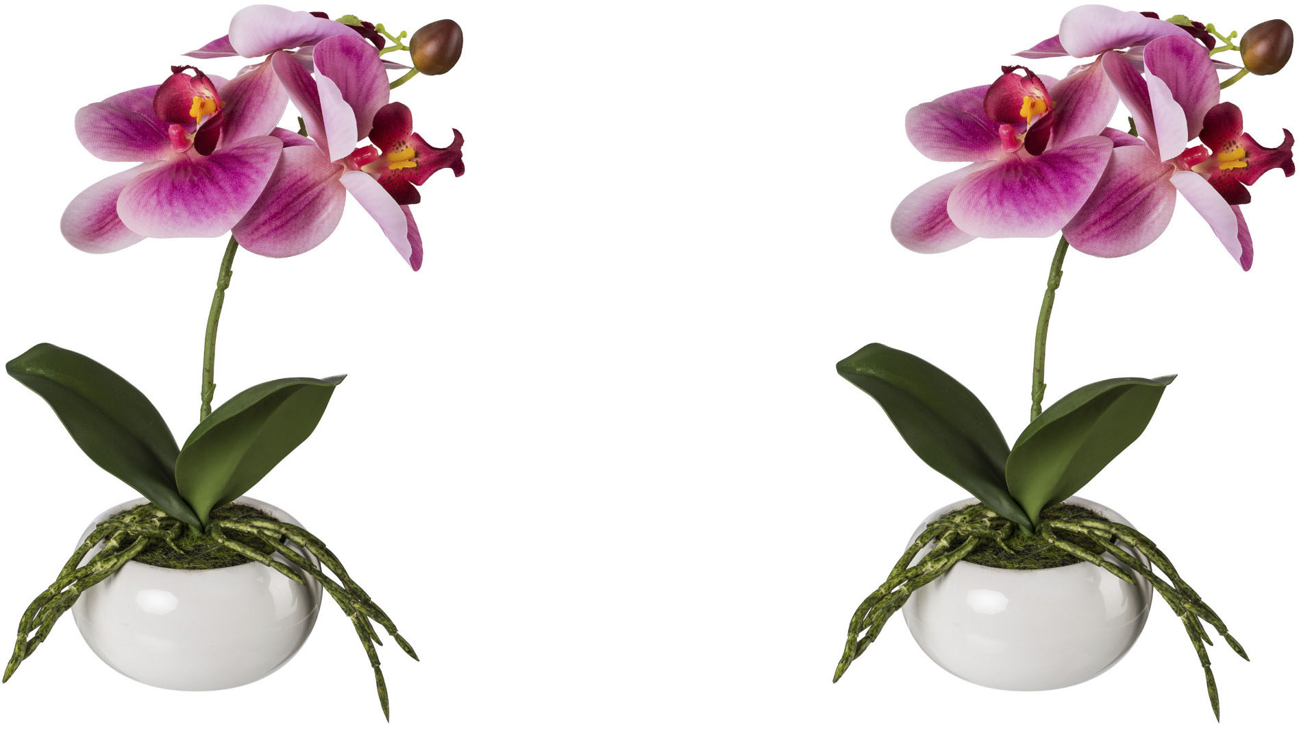 Creativ green Kunstorchidee »Phalaenopsis in Keramikschale« von Creativ green