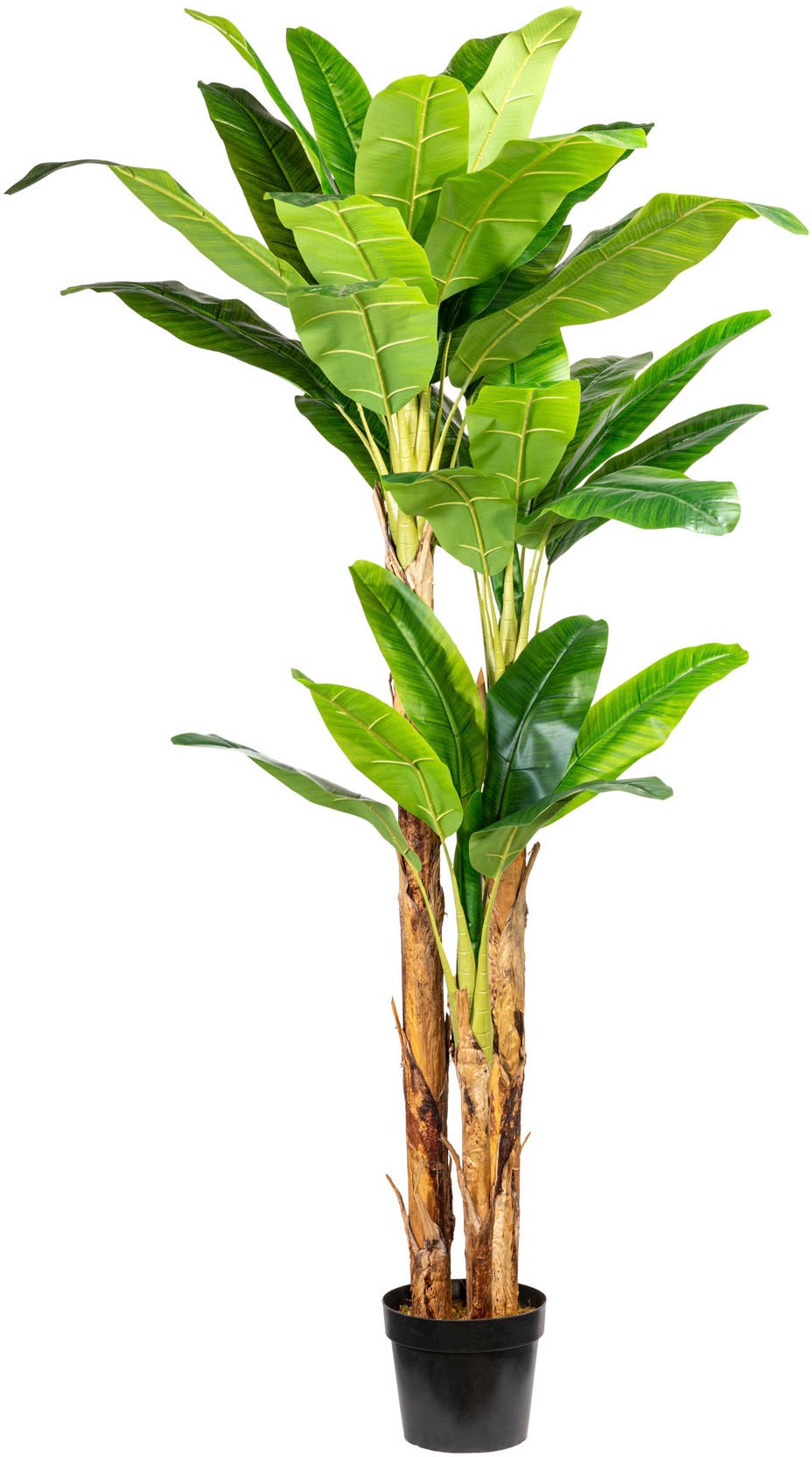 Creativ green Kunstpalme »Bananenpflanze« von Creativ green