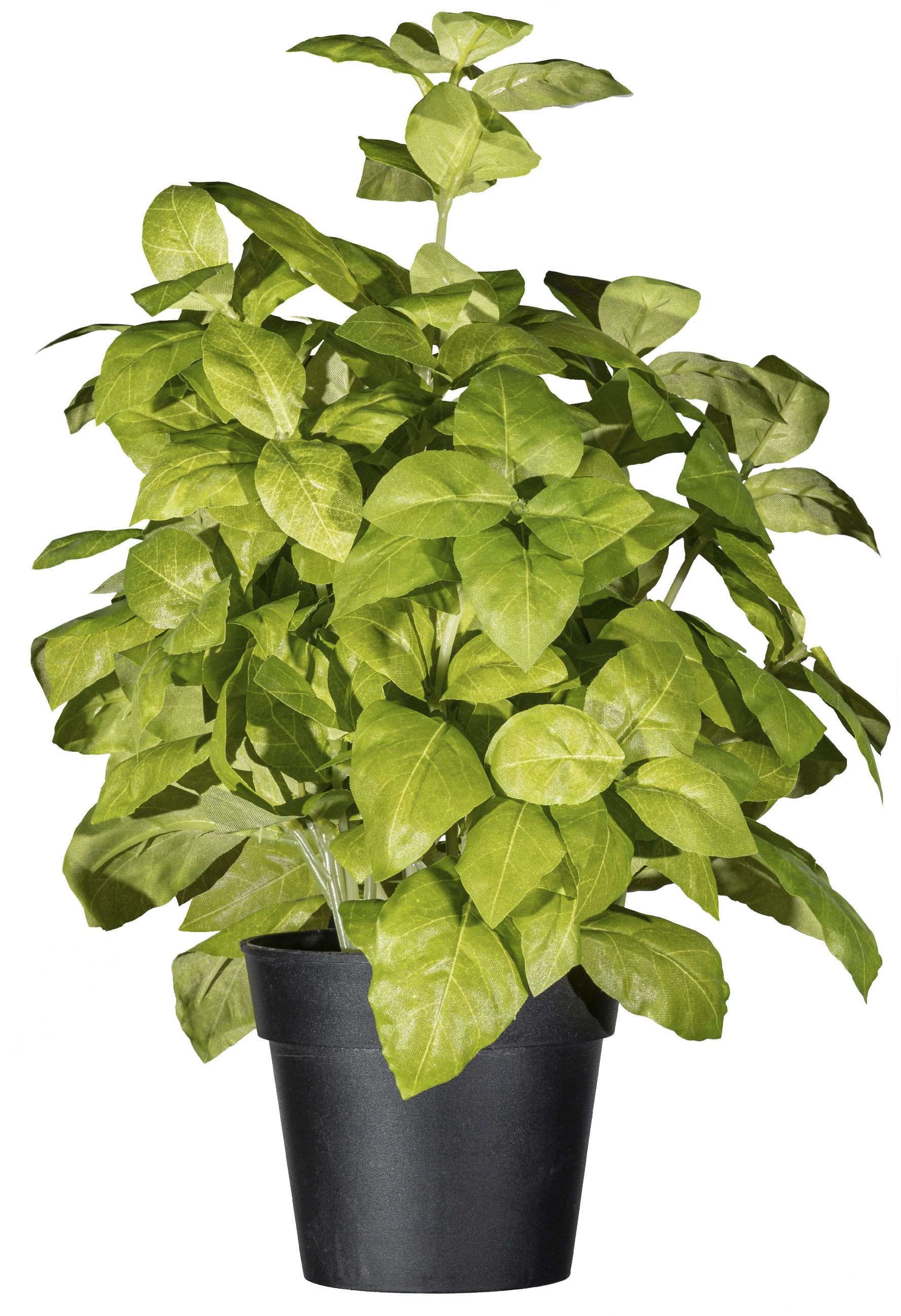 Creativ green Kunstpflanze »Basilikumbusch« von Creativ green