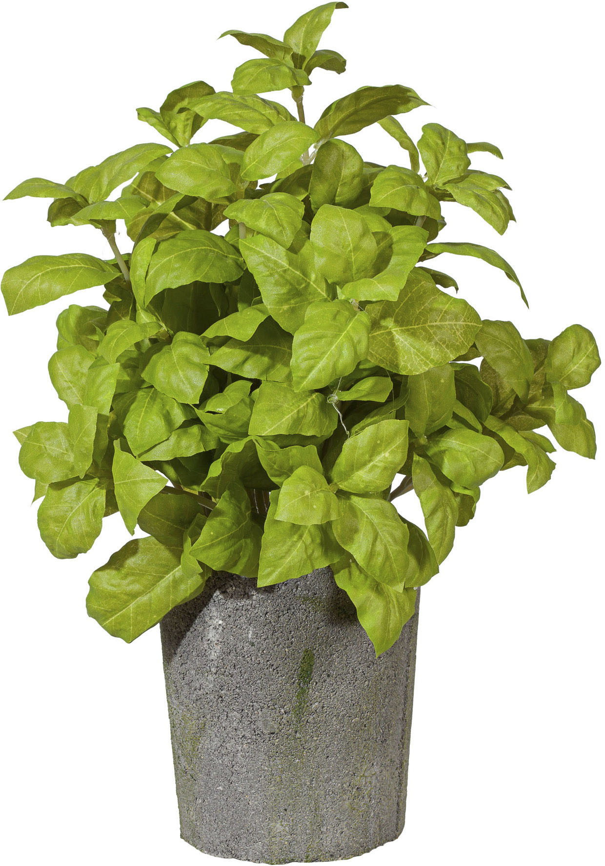 Creativ green Kunstpflanze »Basilikumbusch« von Creativ green