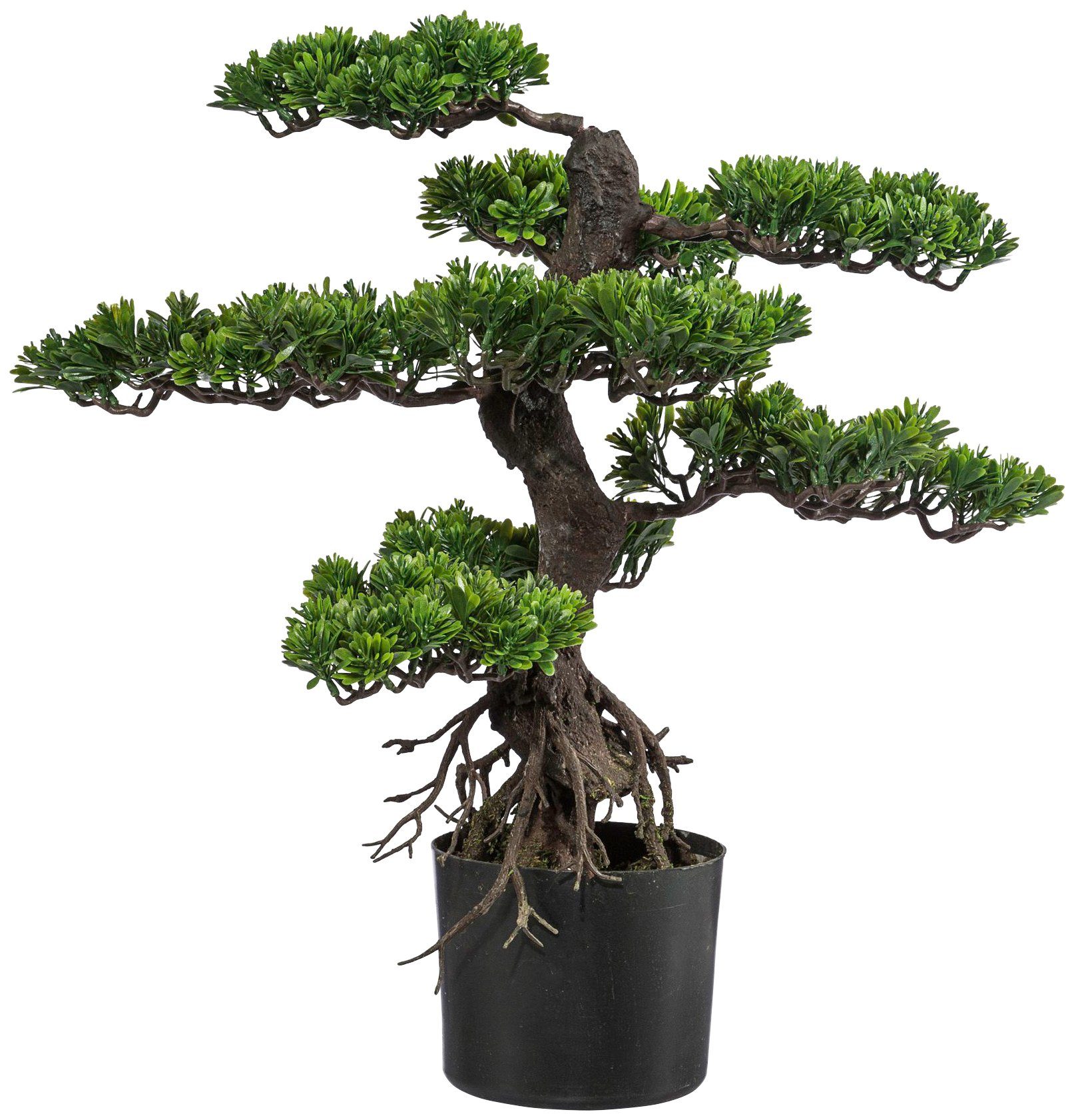 Creativ green Kunstbonsai »Bonsai« von Creativ green