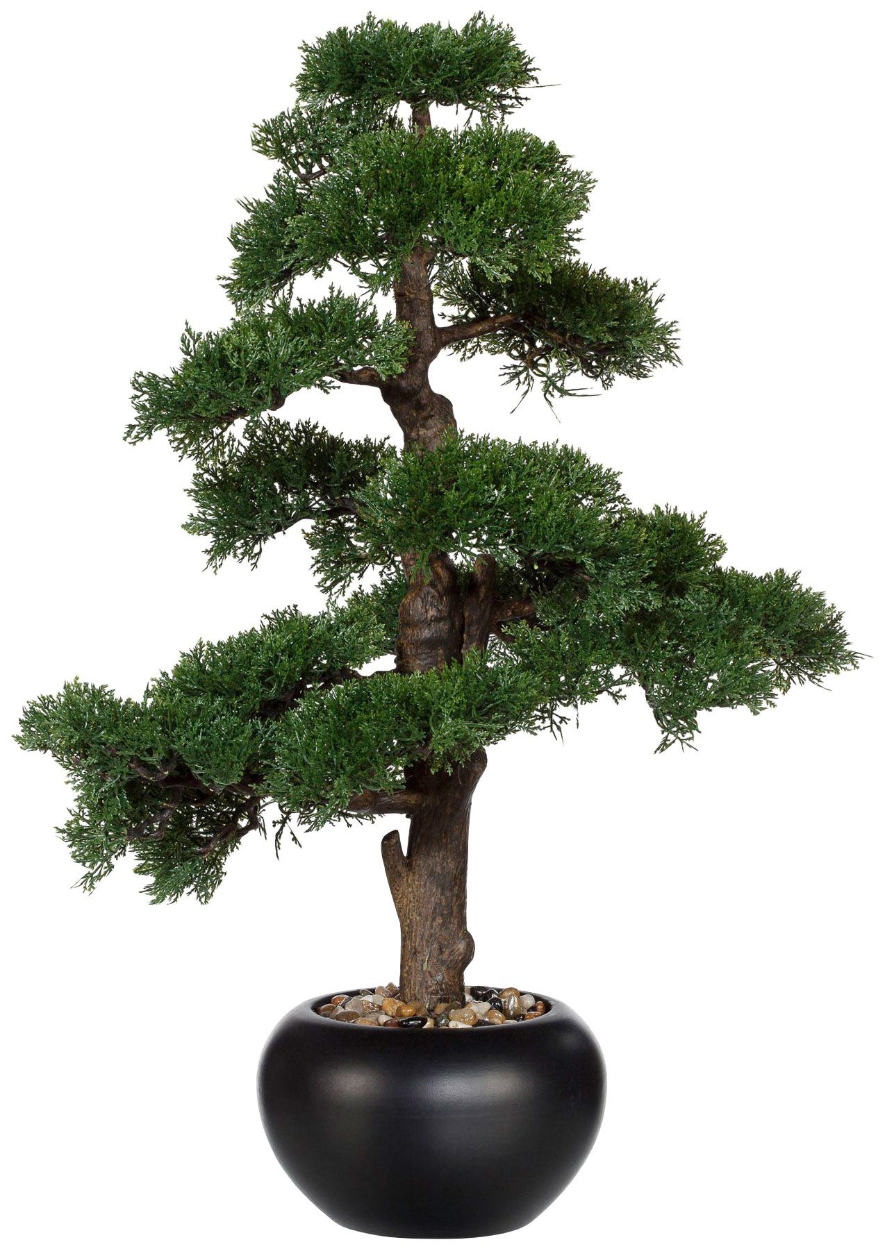 Creativ green Kunstpflanze »Bonsai« von Creativ green