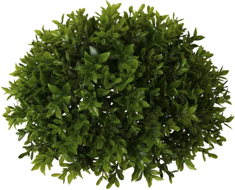 Creativ green Kunstpflanze »Buchsbaumhalbkugel« von Creativ green
