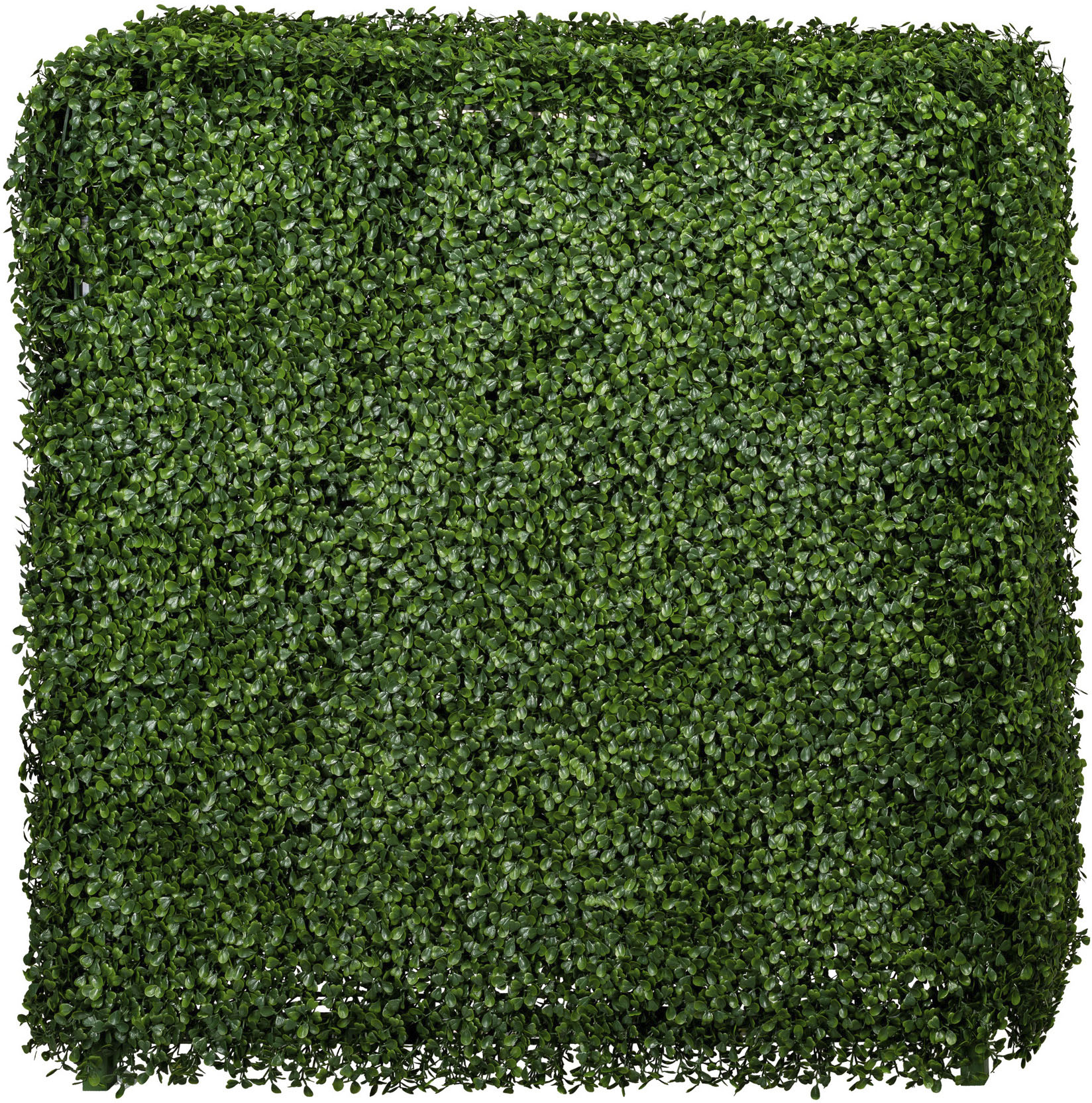 Creativ green Kunstpflanze »Buchsbaumhecke« von Creativ green