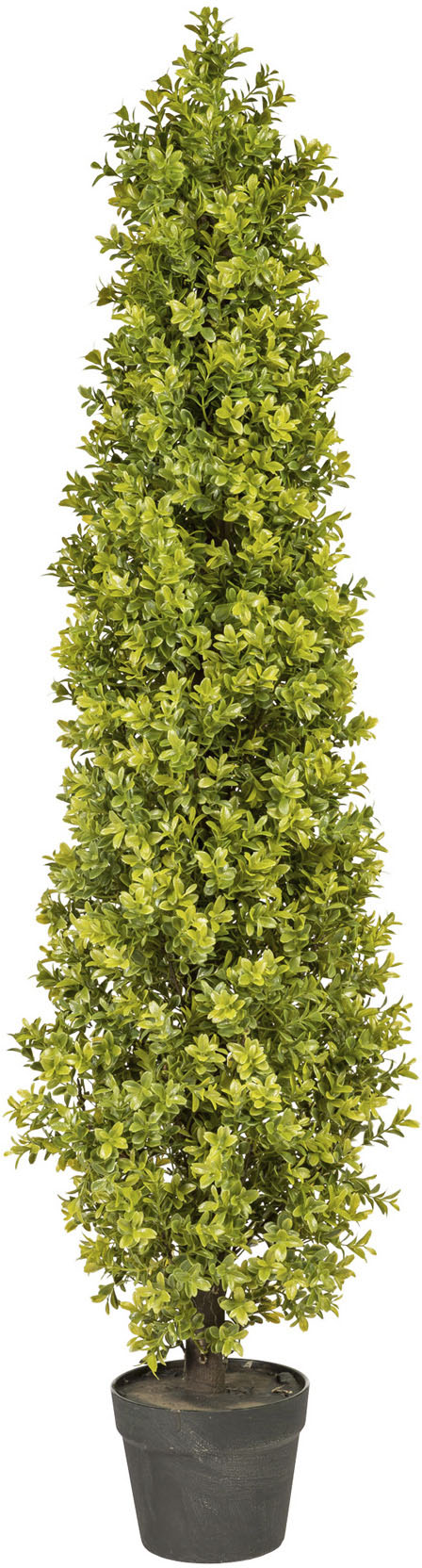 Creativ green Kunstpflanze »Buchsbaumpyramide« von Creativ green