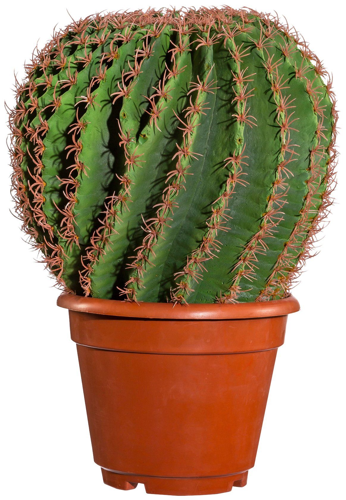 Creativ green Kunstpflanze »Kaktus Echino« von Creativ green