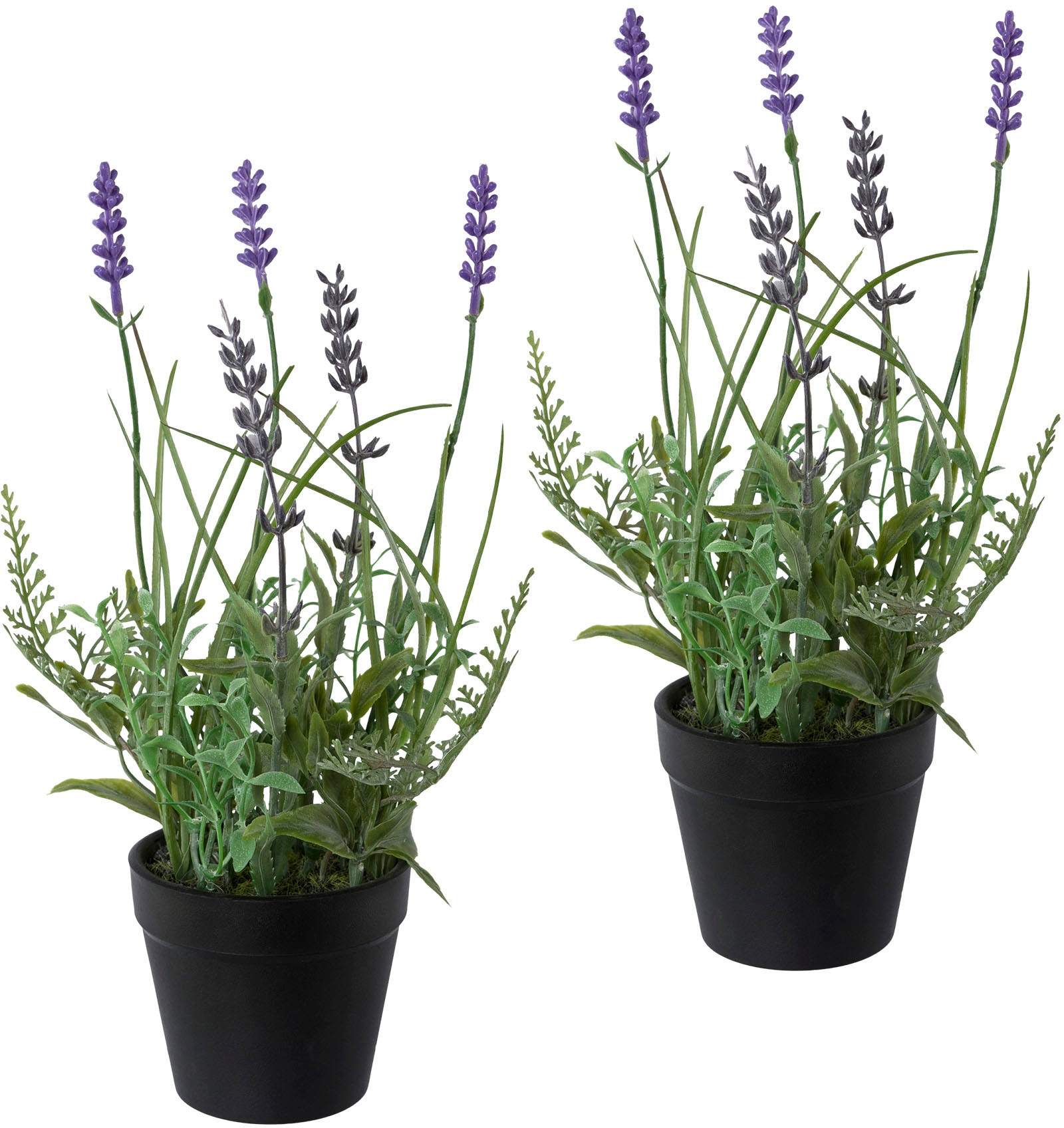 Creativ green Kunstpflanze »Lavendel« von Creativ green