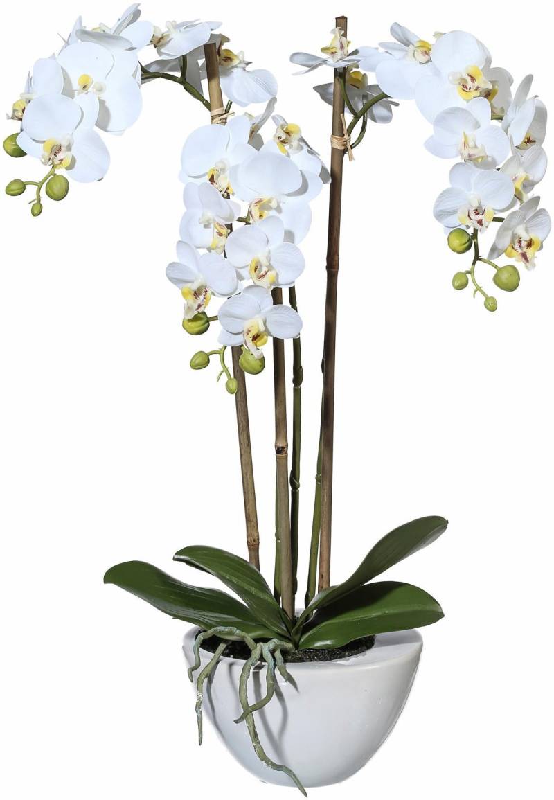 Creativ green Kunstpflanze »Mini Orchidee« von Creativ green
