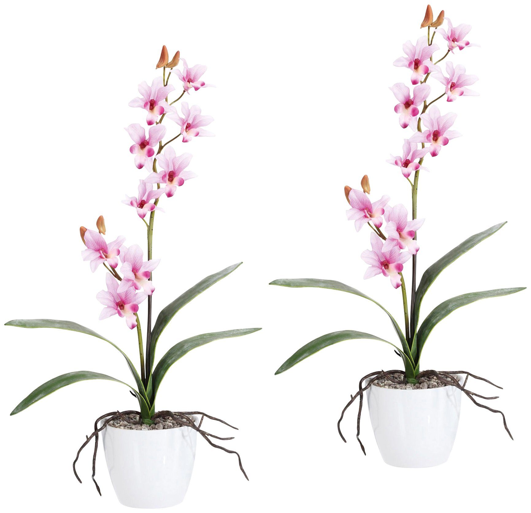 Creativ green Kunstpflanze »Orchidee Dendrobie« von Creativ green