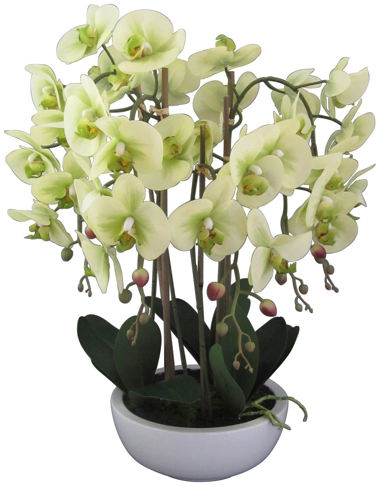 Creativ green Kunstpflanze »Orchidee Phalaenopsis« von Creativ green