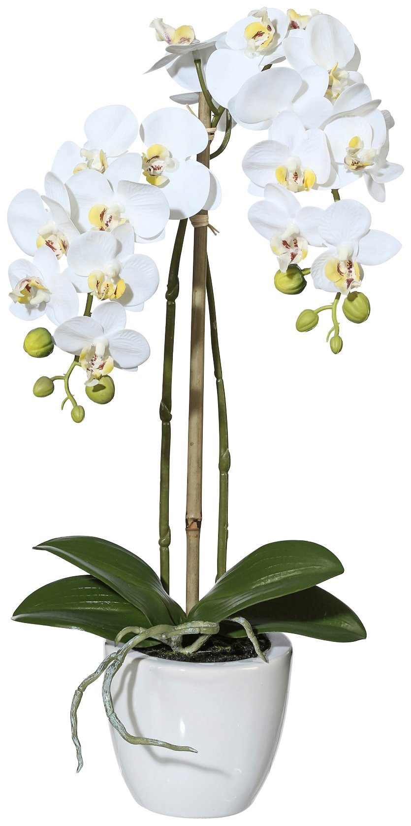 Creativ green Kunstpflanze »Orchidee Phalaenopsis« von Creativ green