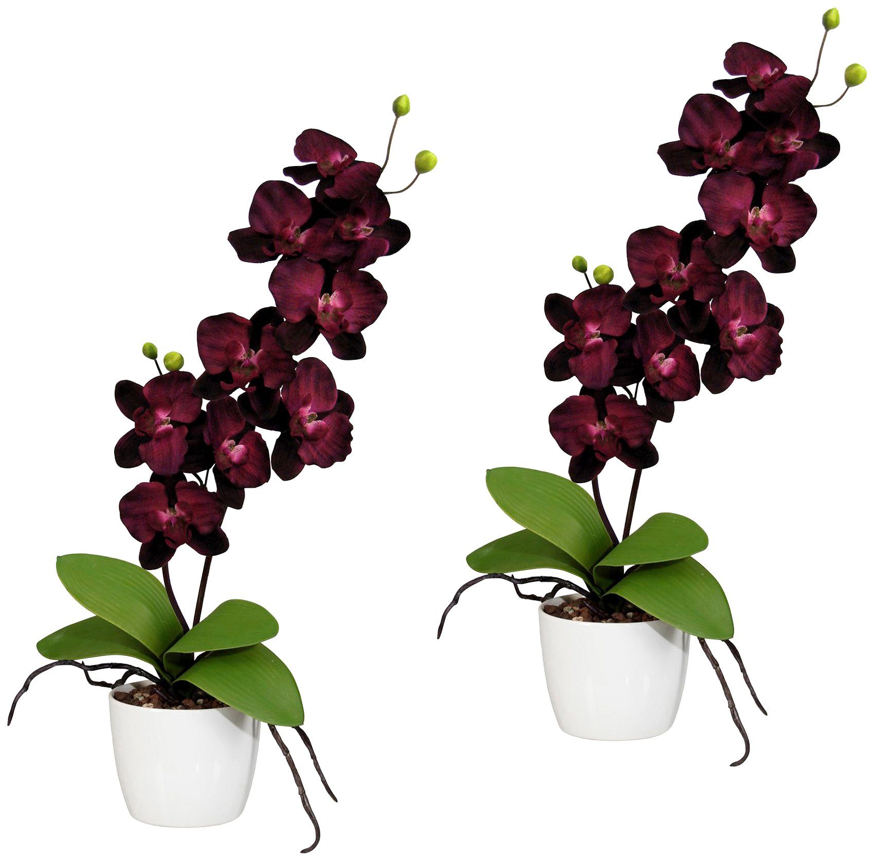 Creativ green Kunstpflanze »Orchidee Phalaenopsis« von Creativ green