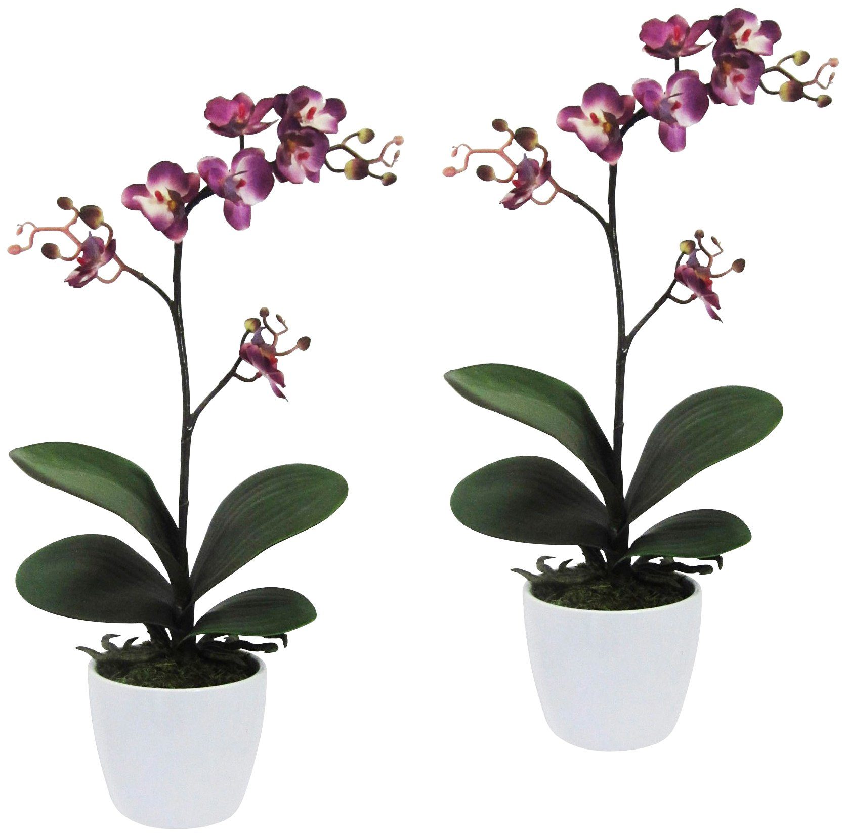 Creativ green Kunstpflanze »Orchidee Phalaenopsis« von Creativ green