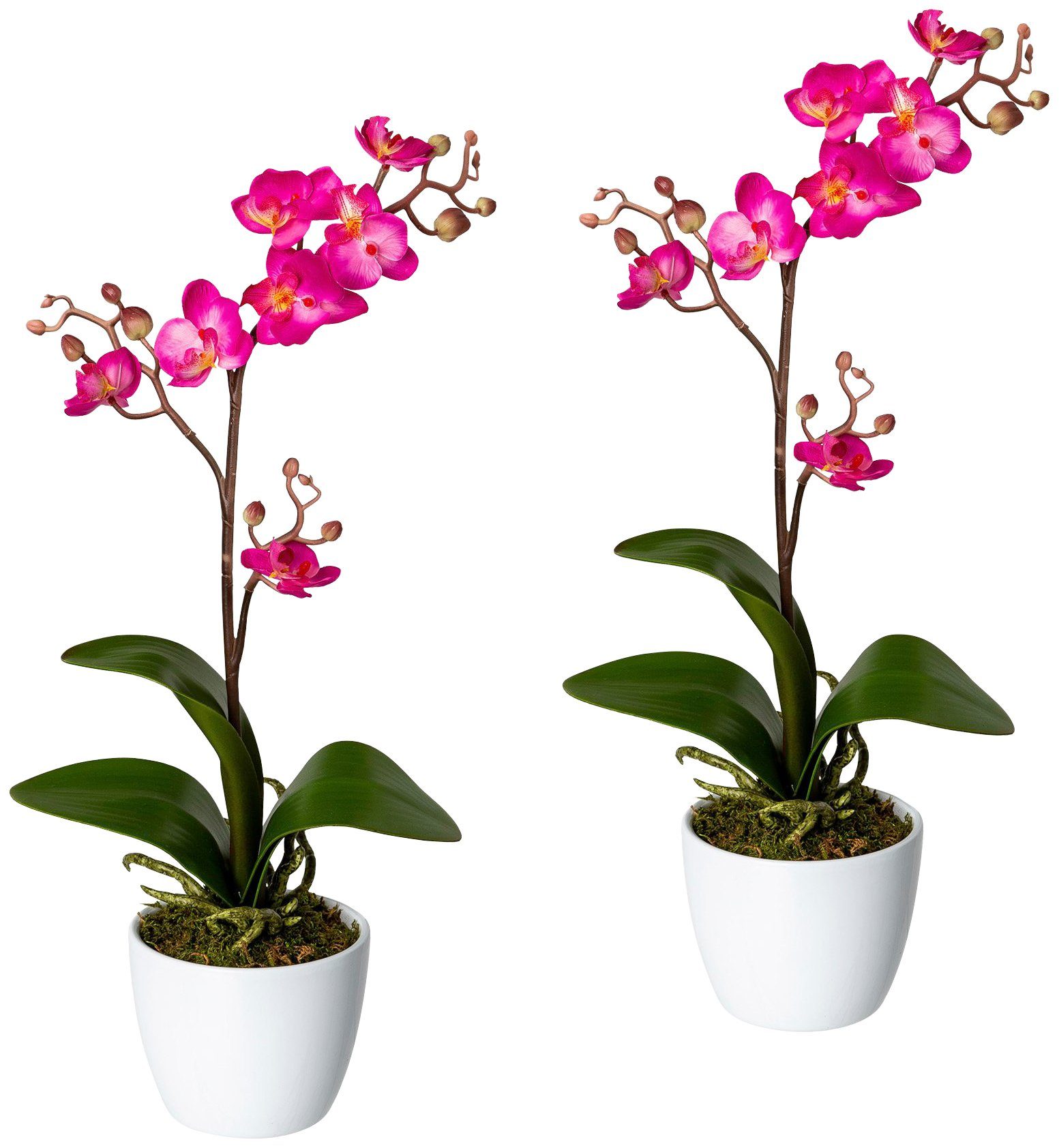 Creativ green Kunstpflanze »Orchidee Phalaenopsis« von Creativ green