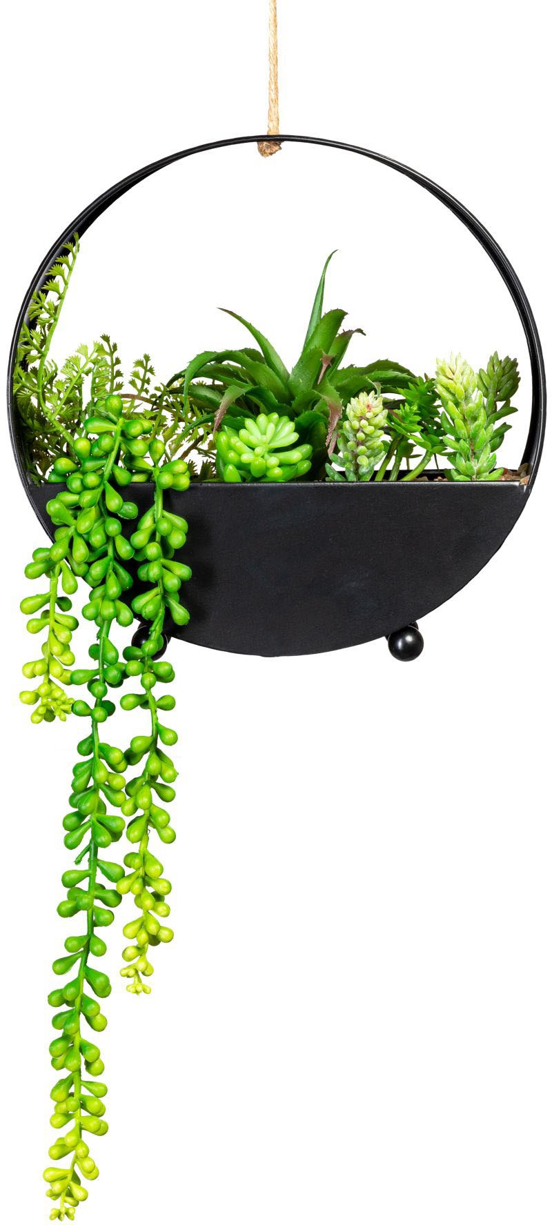 Creativ green Kunstpflanze »Sukkulenten« von Creativ green