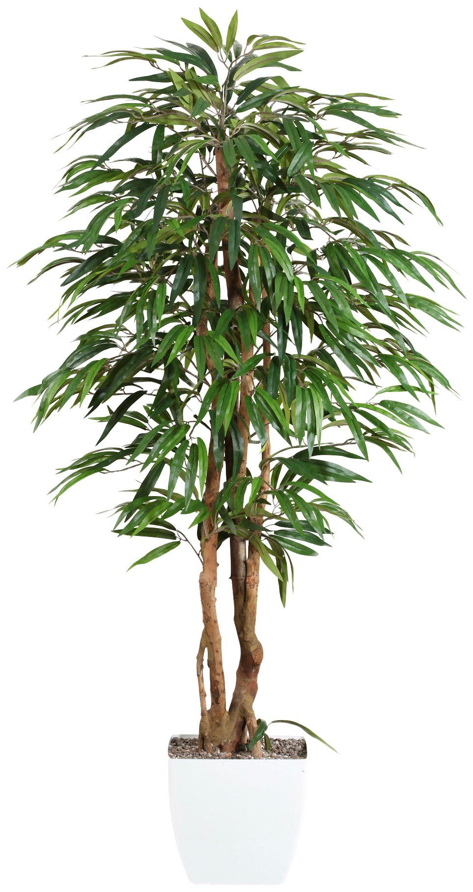 Creativ green Kunstpflanze »Weeping-Ficus« von Creativ green