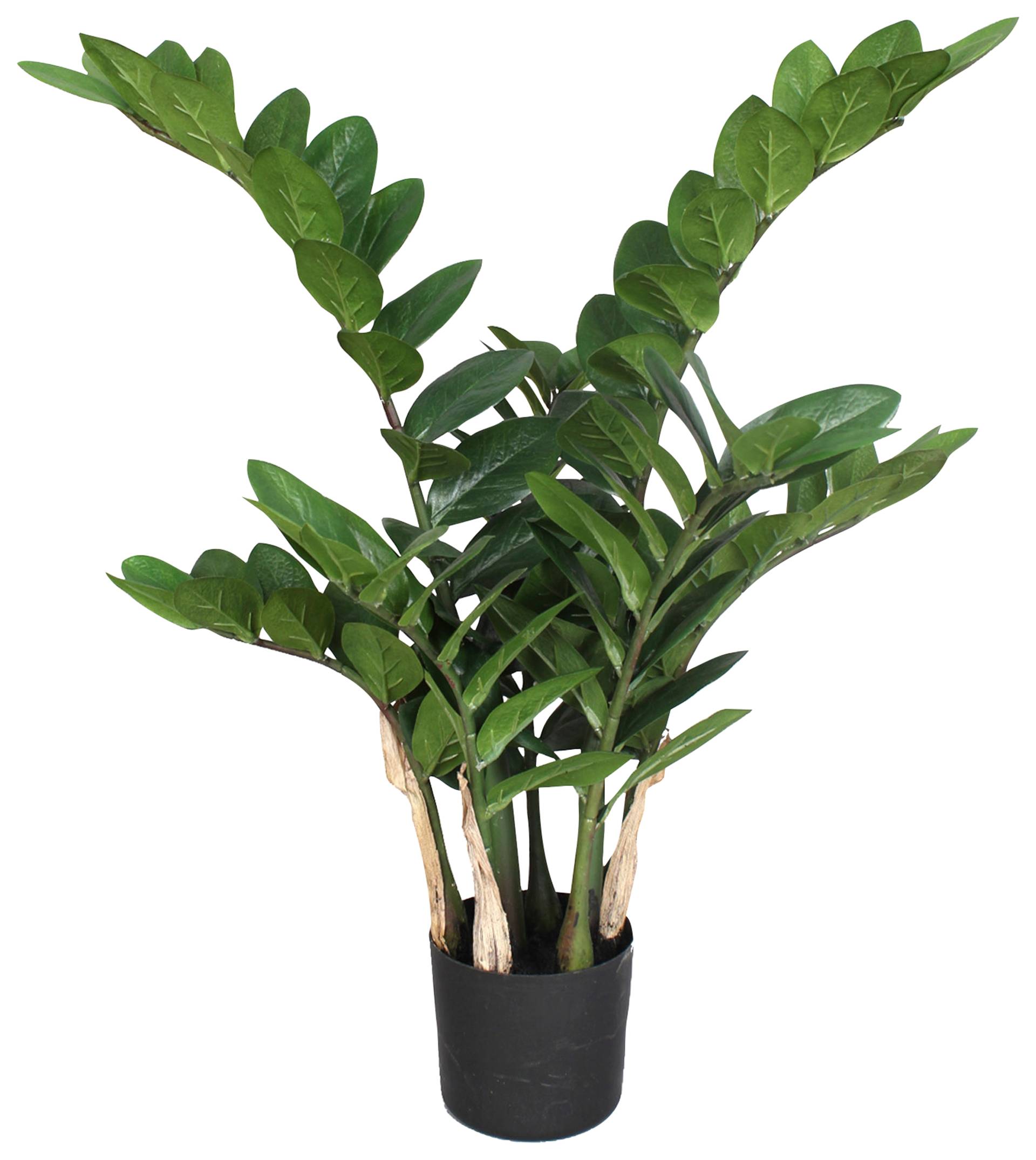 Creativ green Kunstpflanze »Zamifolia« von Creativ green