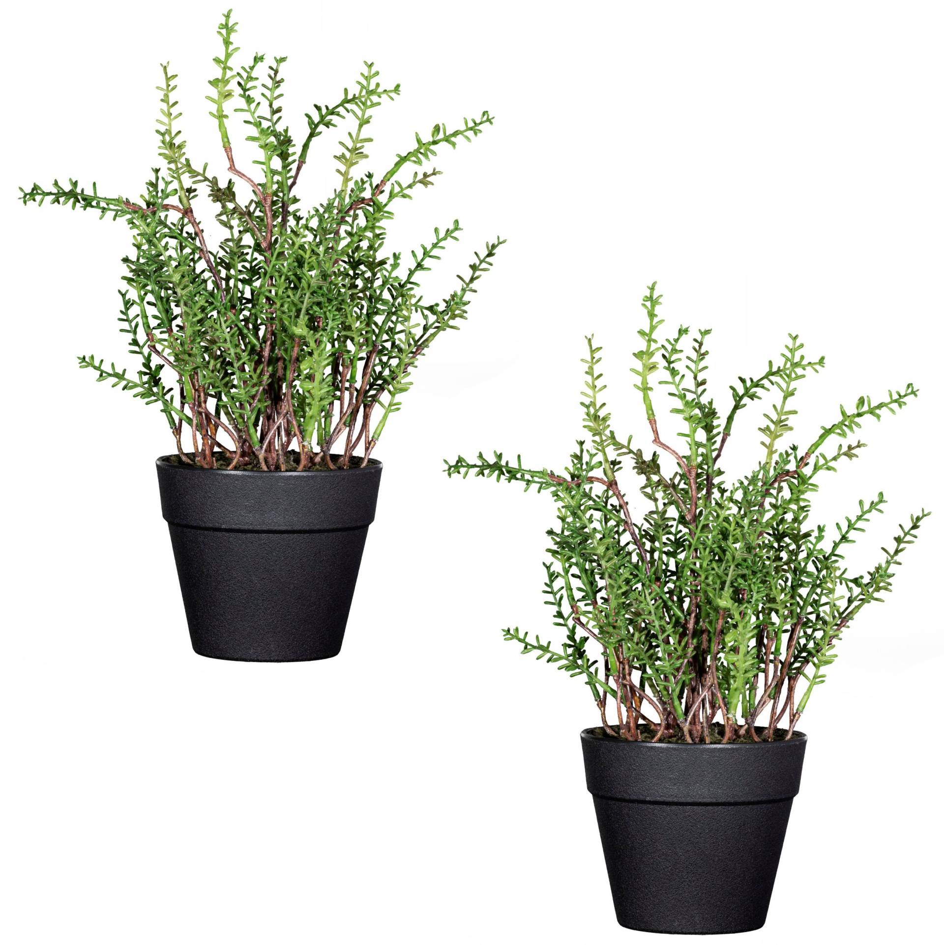 Creativ green Kunstpflanze »Zitronenthymian«, im 2er Set von Creativ green
