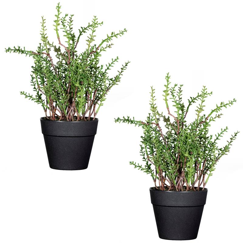 Creativ green Kunstpflanze »Zitronenthymian«, im 2er Set von Creativ green