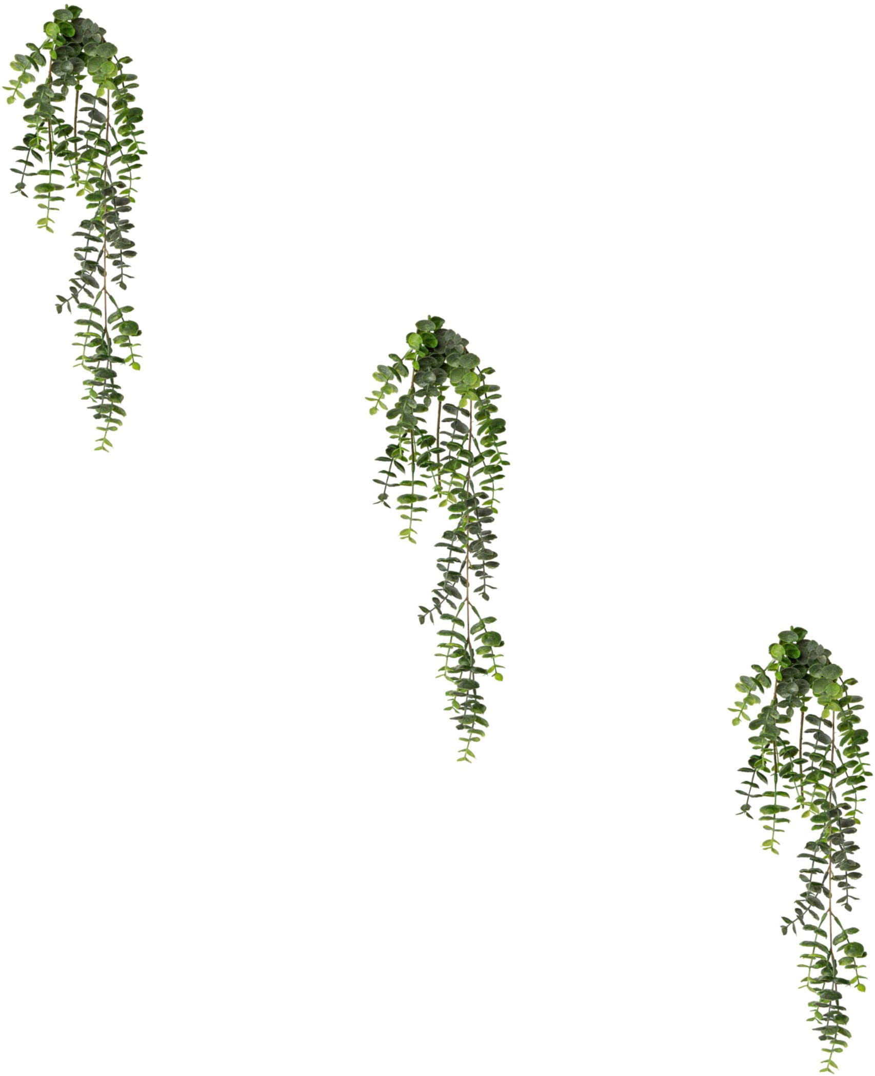 Creativ green Kunstranke »Eukalyptus-Hängezweig« von Creativ green
